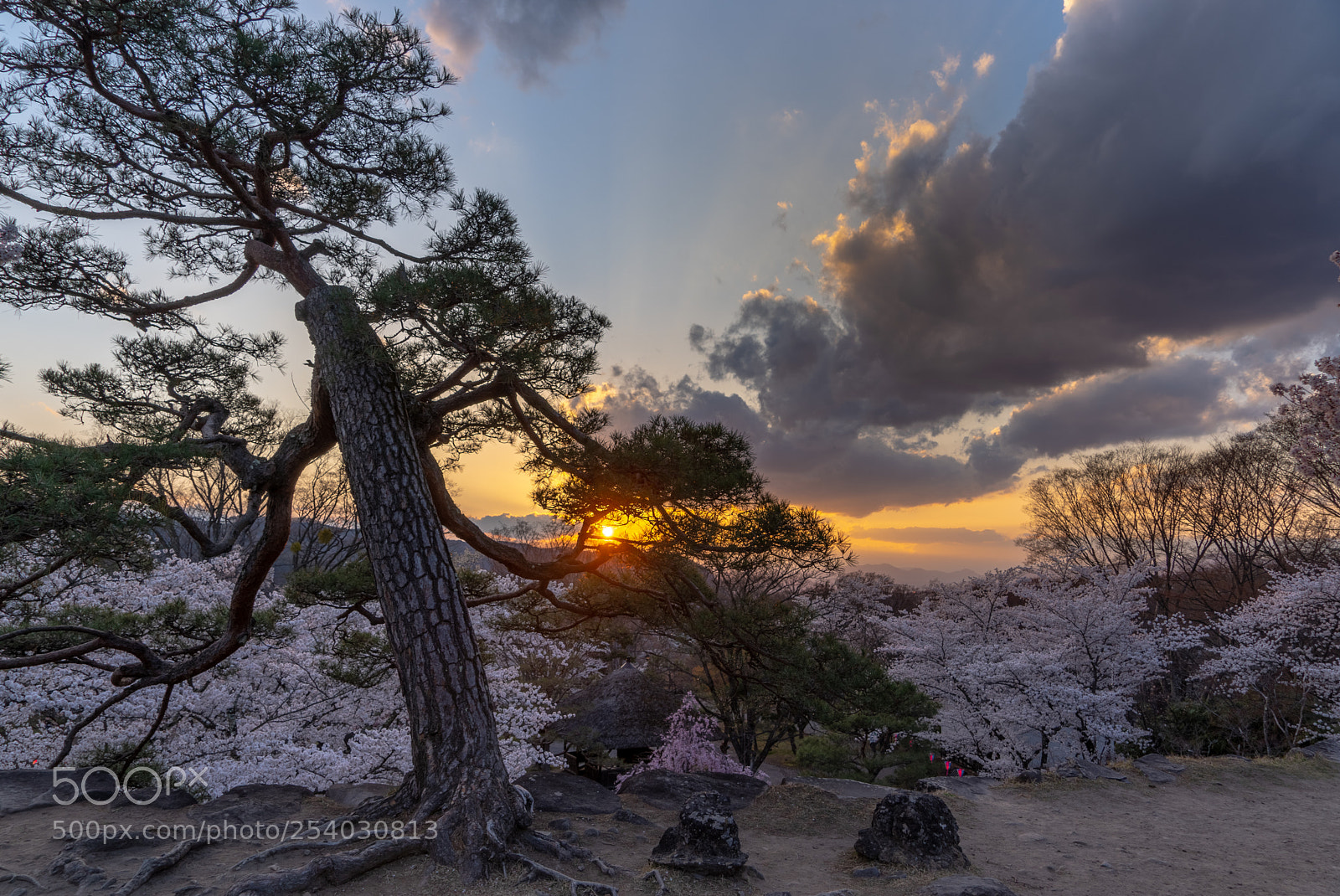 Sony a7 III sample photo. Komoro sunset photography