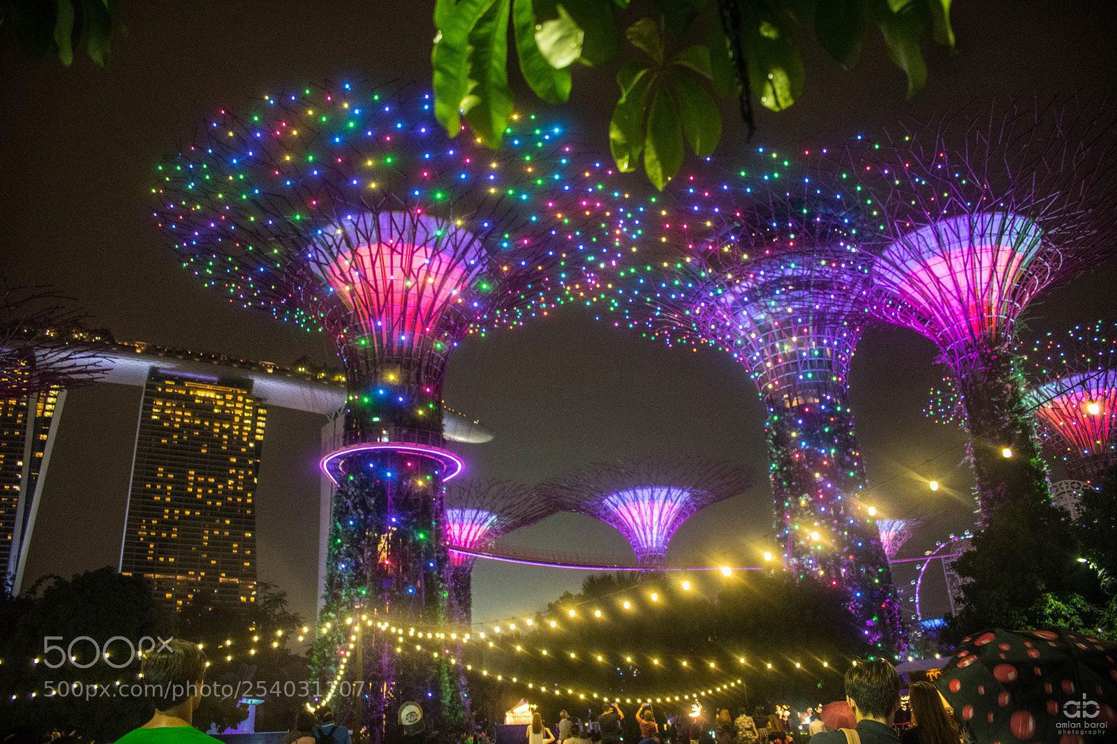 Nikon D5300 sample photo. Supertree grove light show photography
