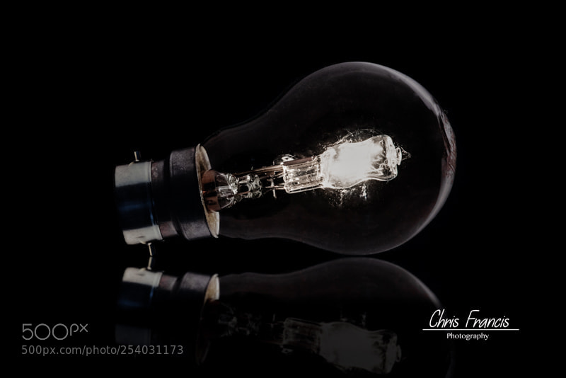 Nikon D810 sample photo. Light bulb moment photography
