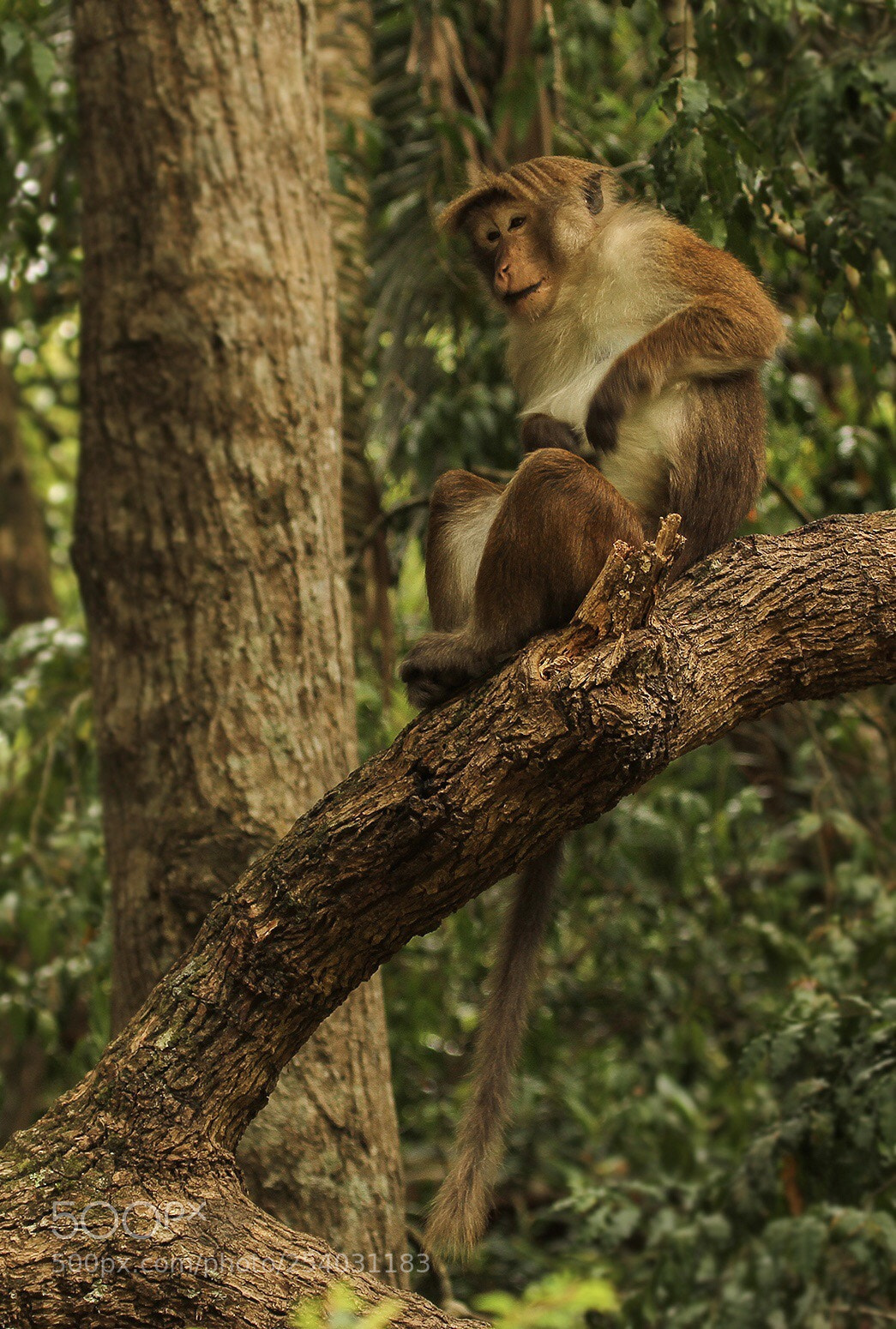 Canon EOS 7D sample photo. Untitled photography