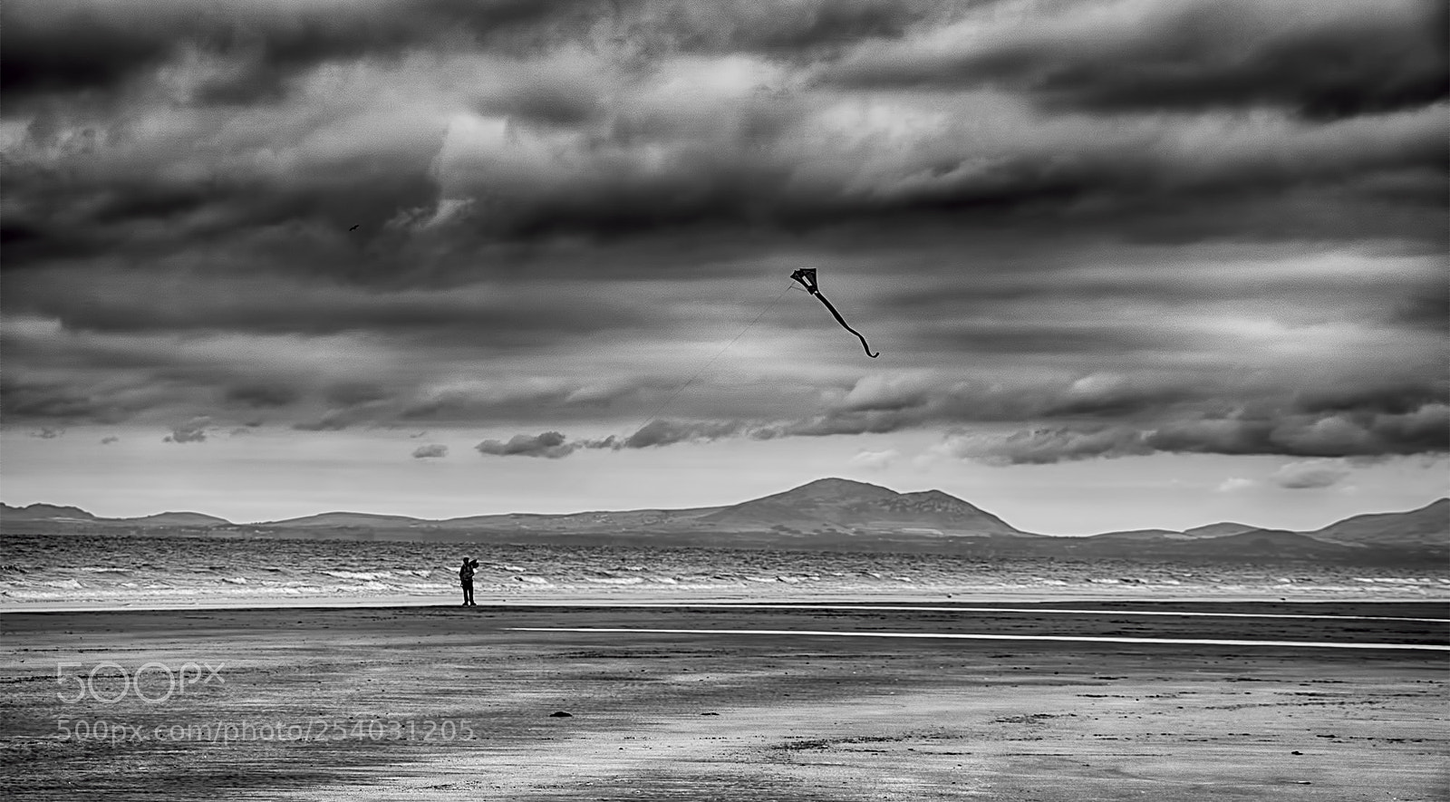 Sony a6500 sample photo. The kite flyer photography