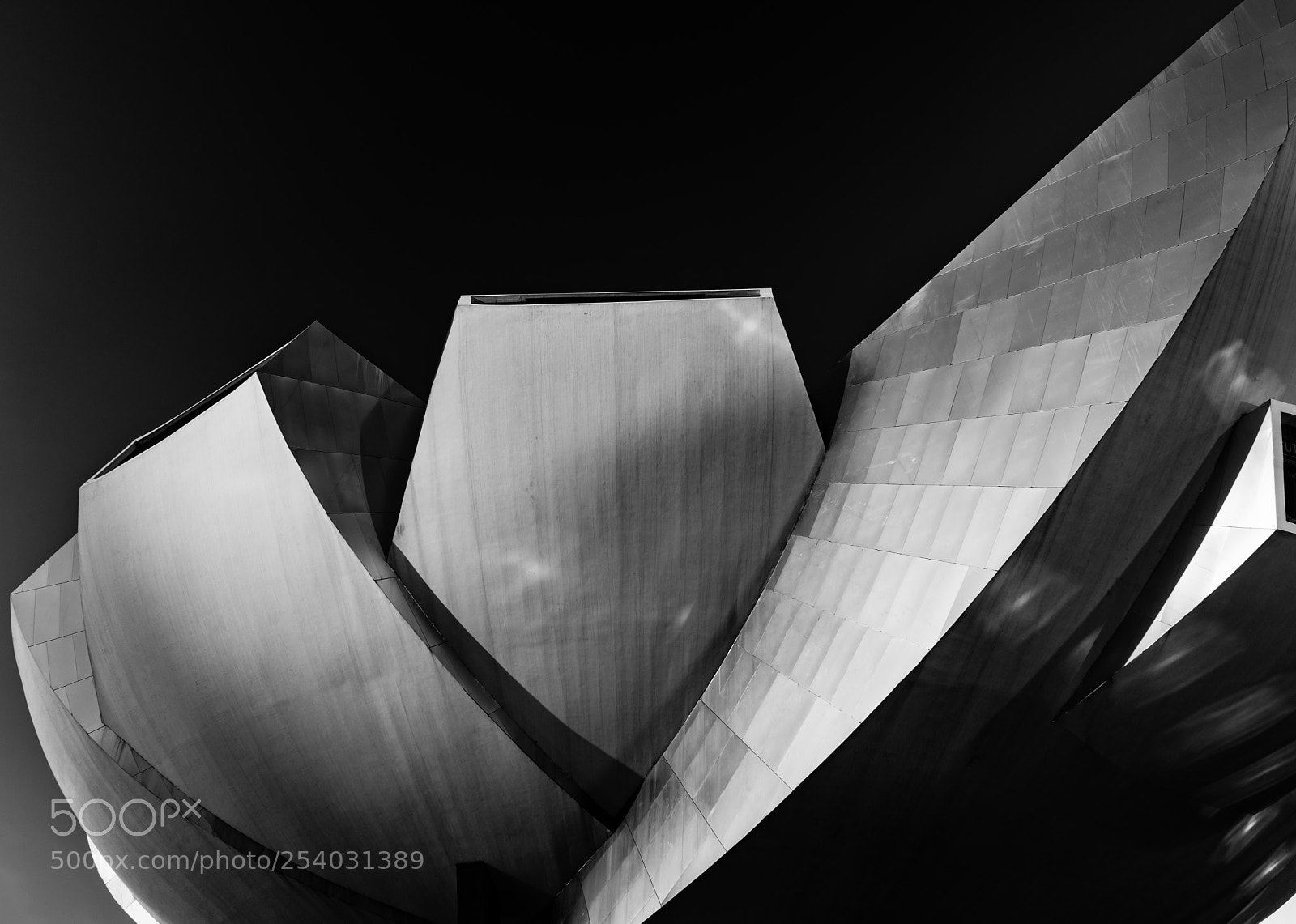 Sony a7 sample photo. Art science museum photography