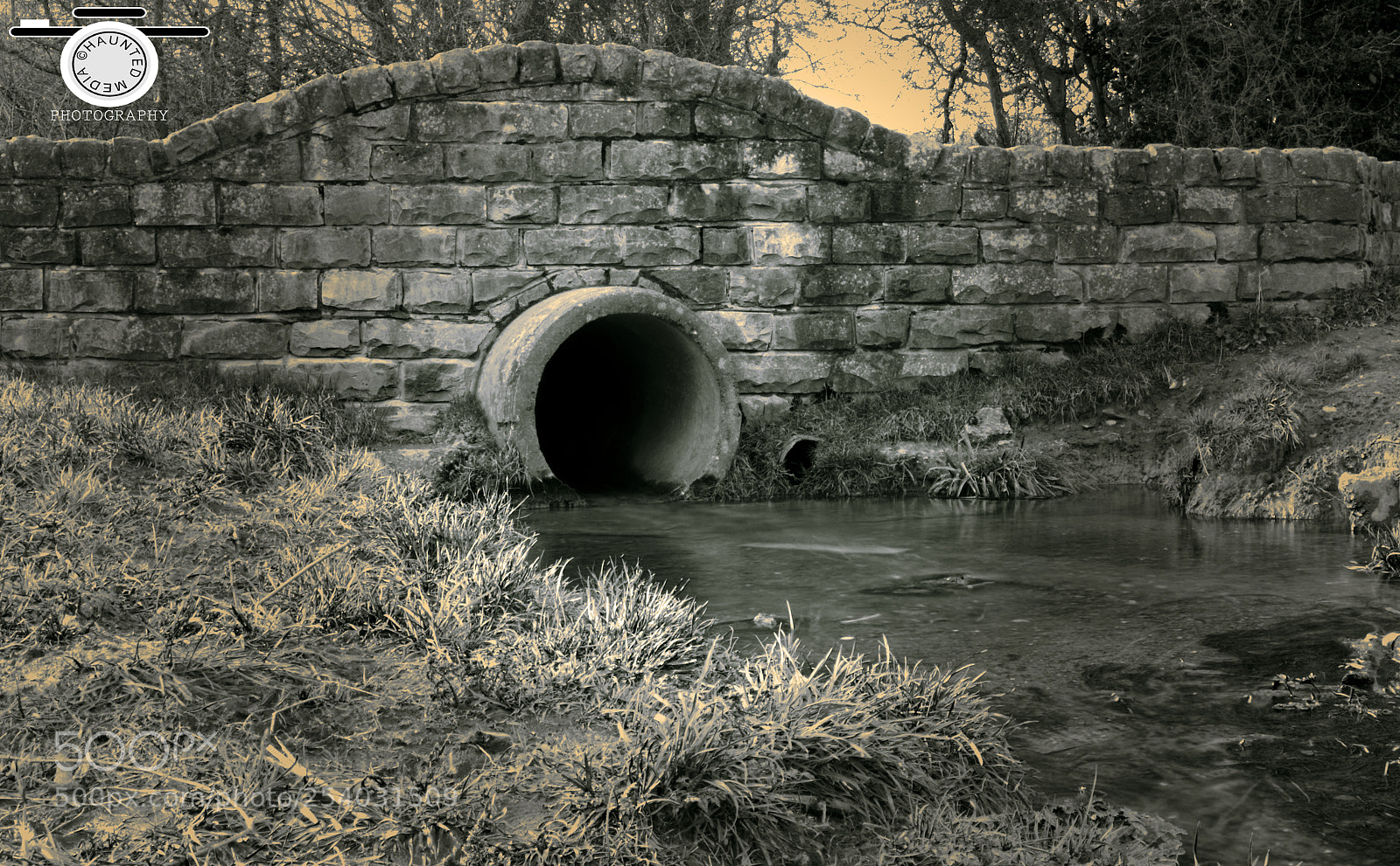 Canon EOS 700D (EOS Rebel T5i / EOS Kiss X7i) sample photo. Brierley forest park. photography