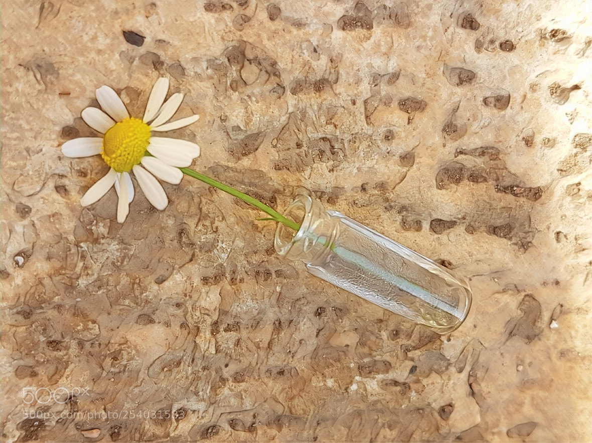Samsung Galaxy S7 Edge sample photo. Untitled photography