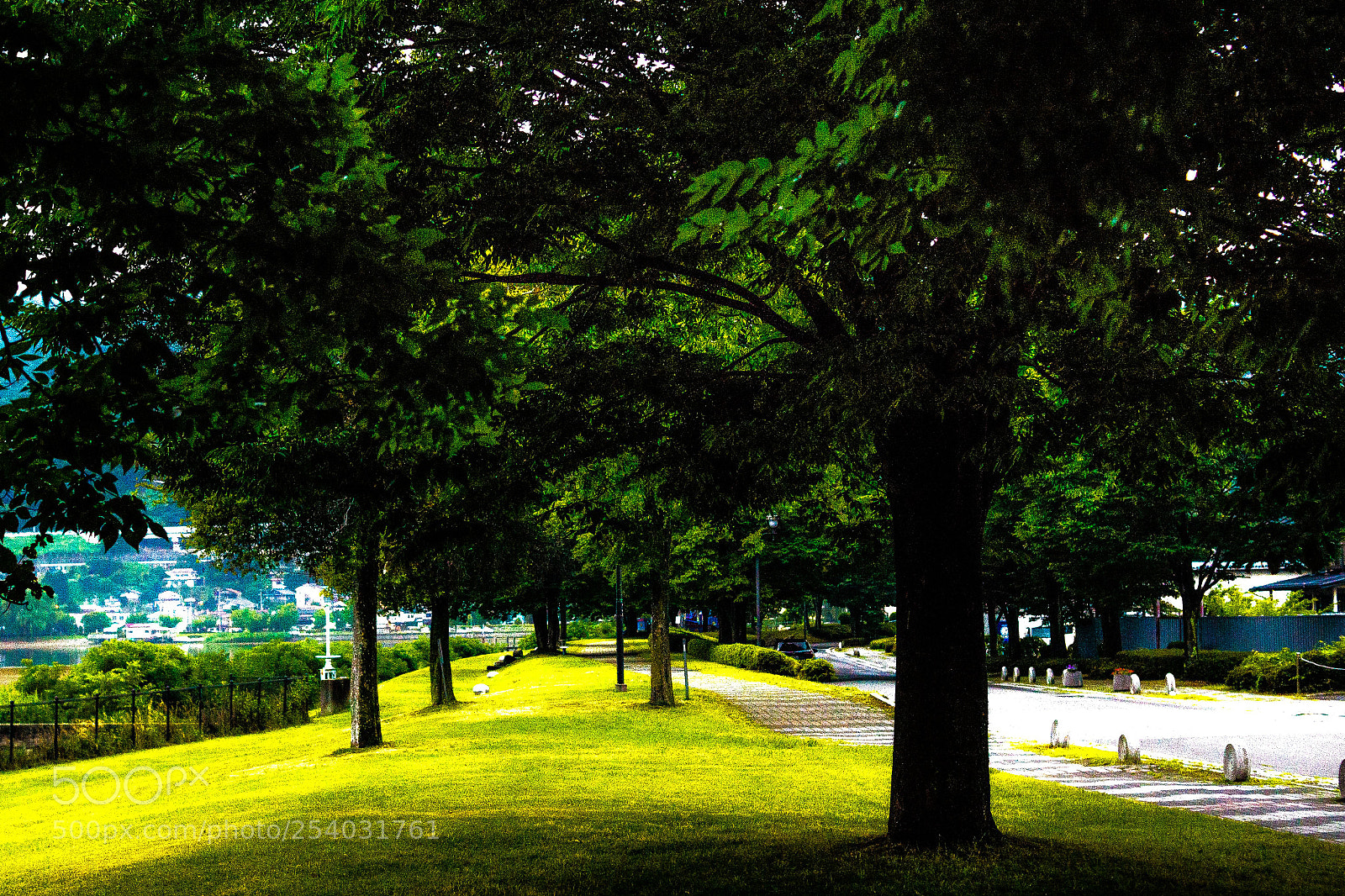 Sony SLT-A65 (SLT-A65V) sample photo. Zazaza photography