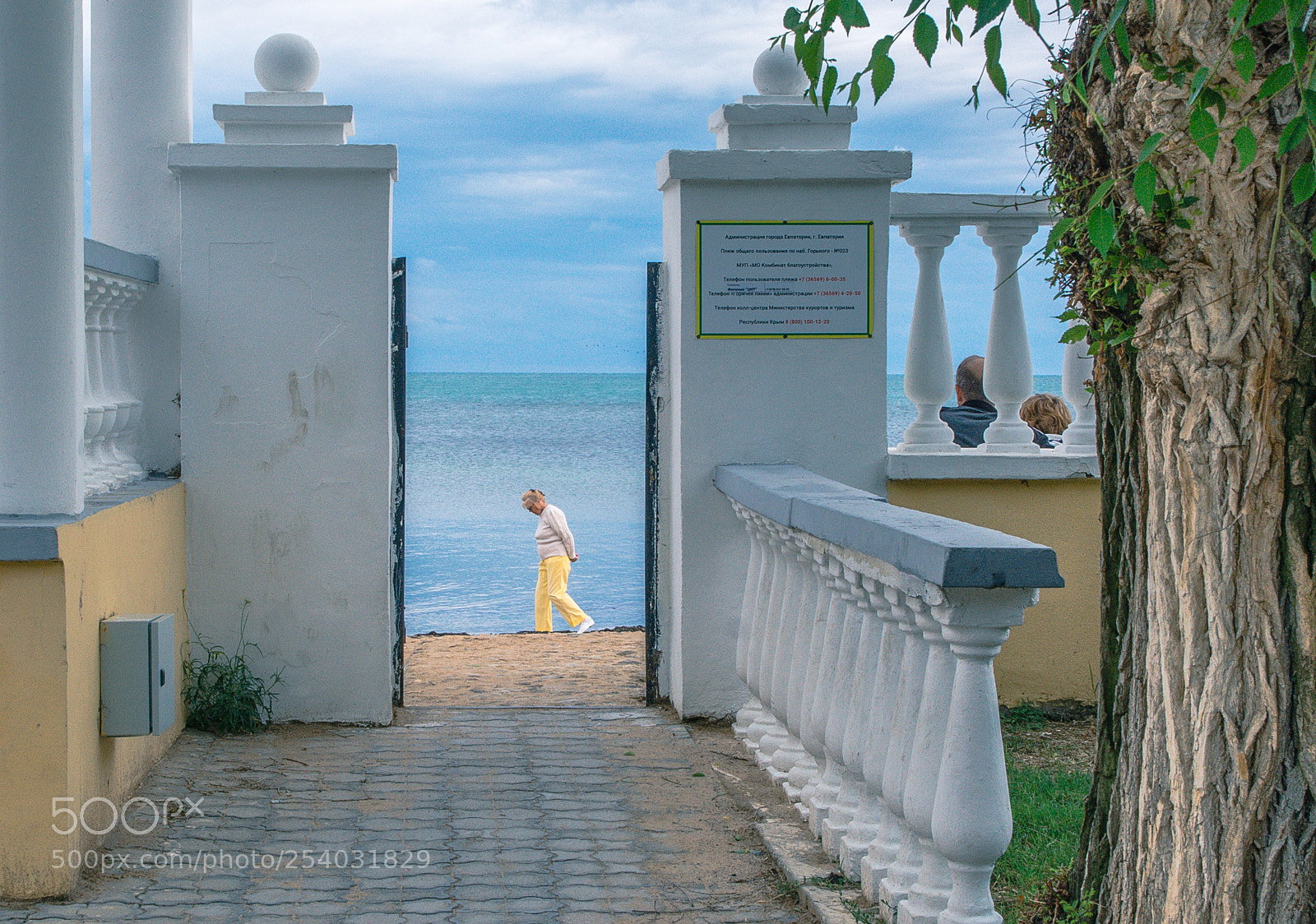 Nikon D7100 sample photo. *** photography