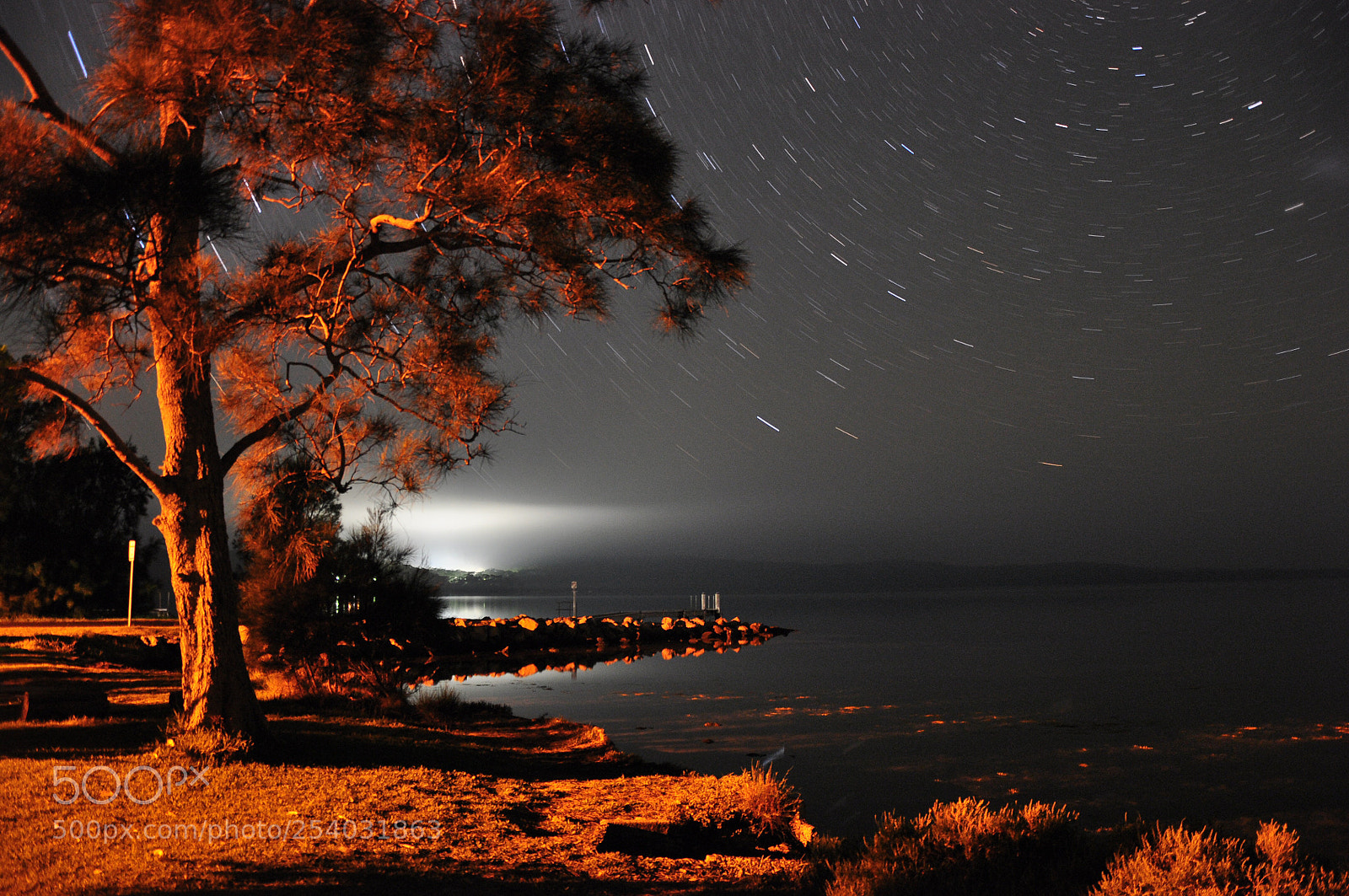 Nikon D90 sample photo. Untitled photography