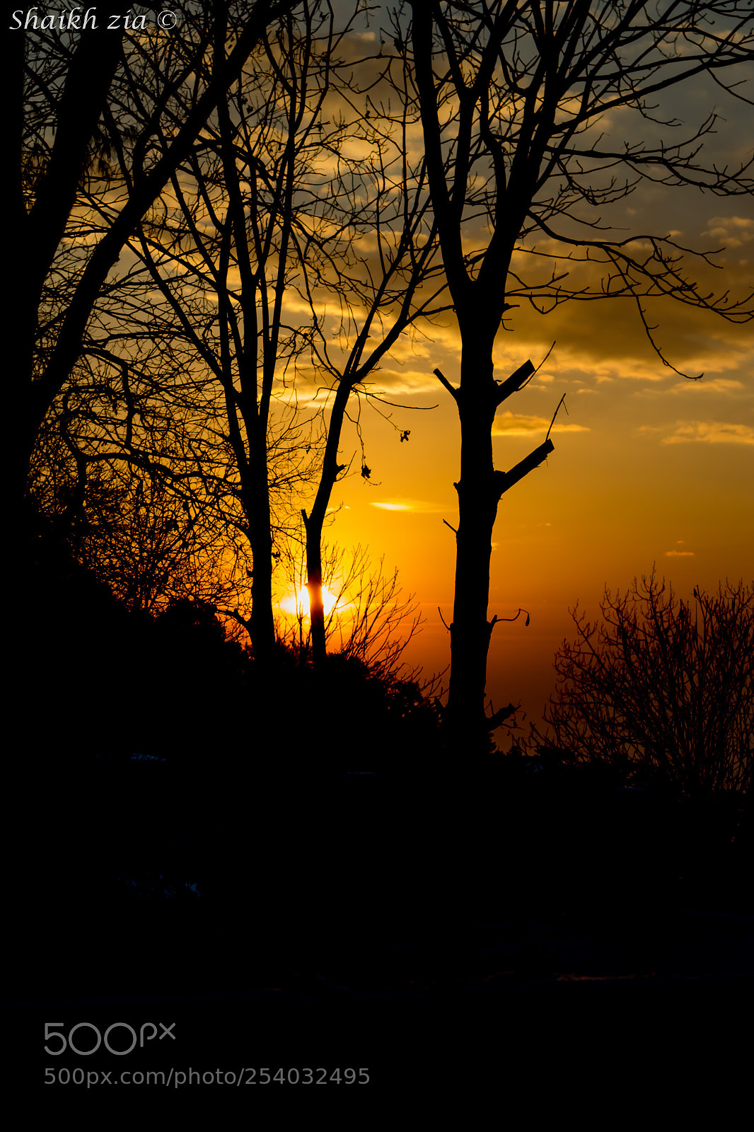 Canon EOS 700D (EOS Rebel T5i / EOS Kiss X7i) sample photo. Img photography