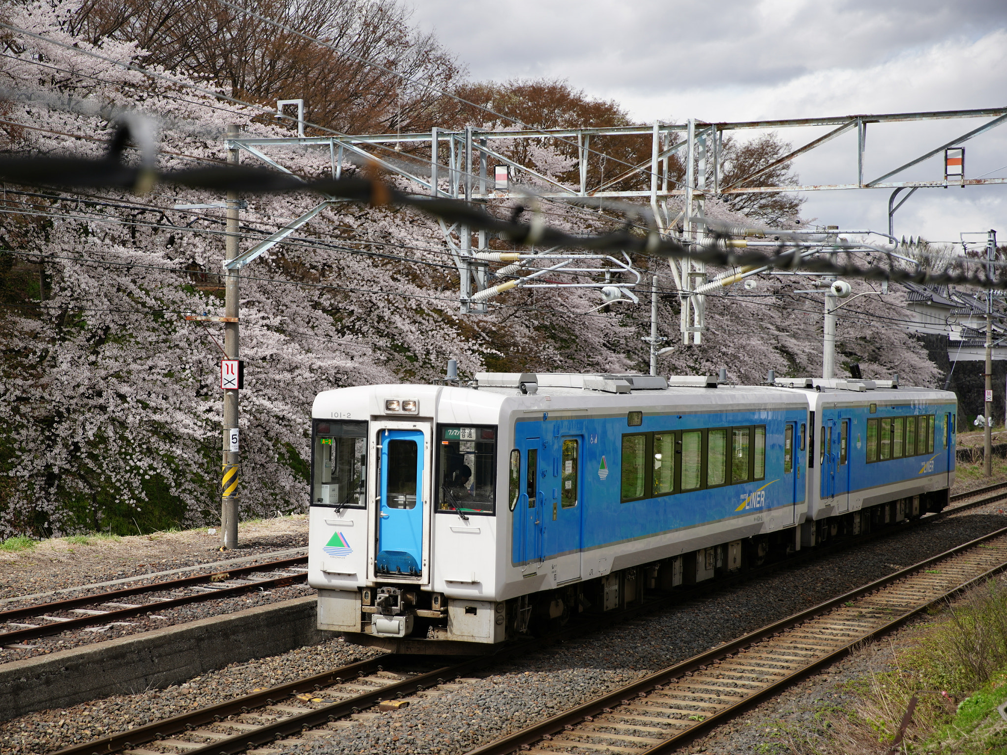 Canon EF 24-70mm F2.8L II USM sample photo