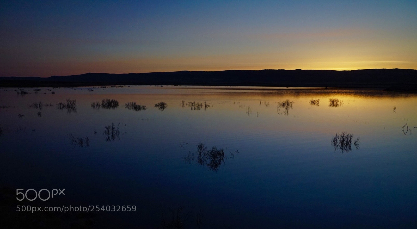 Sony a6300 sample photo. Crystal crane hot springs photography