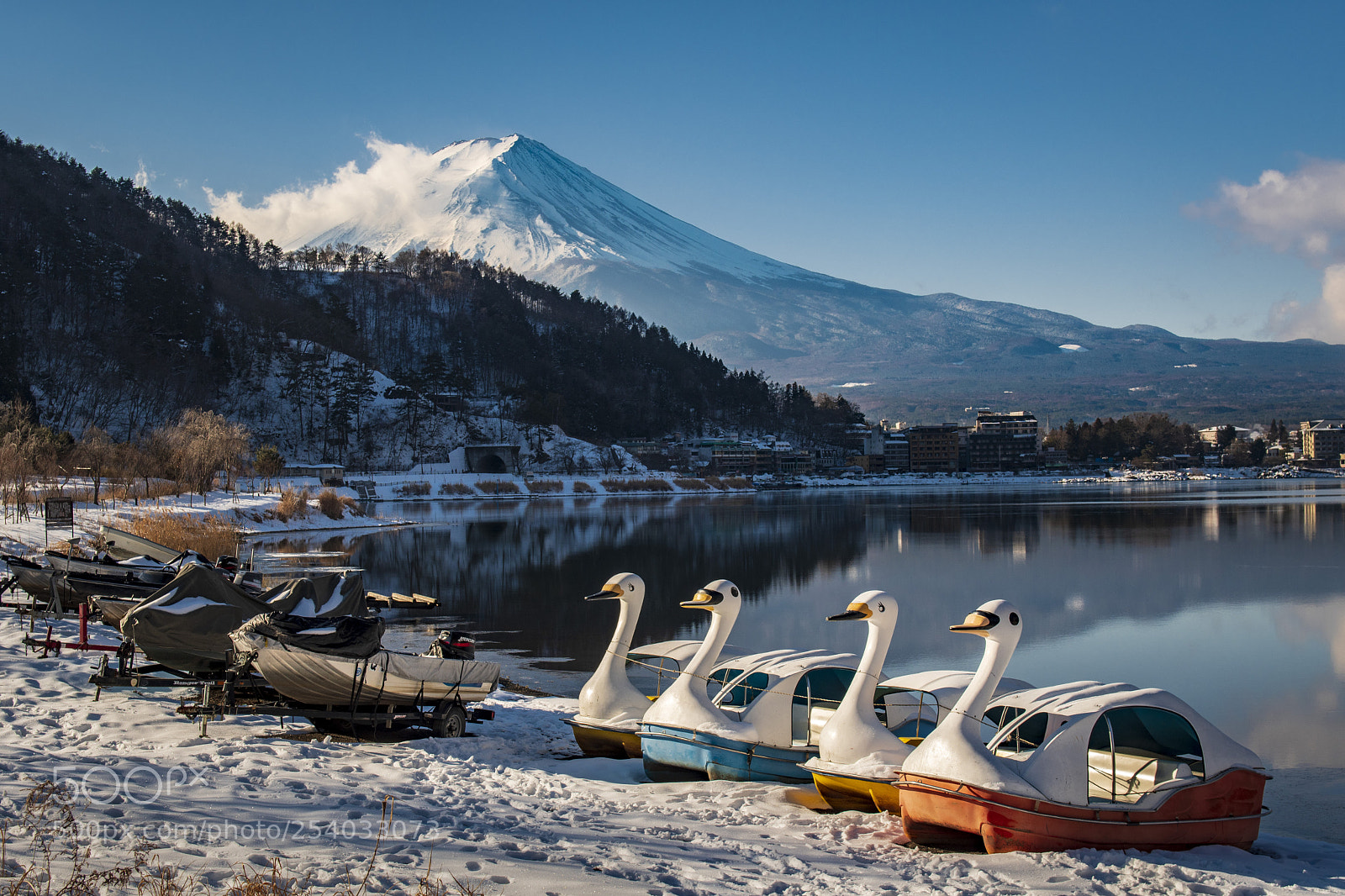 Nikon D500 sample photo. Mt fuji swan boat photography