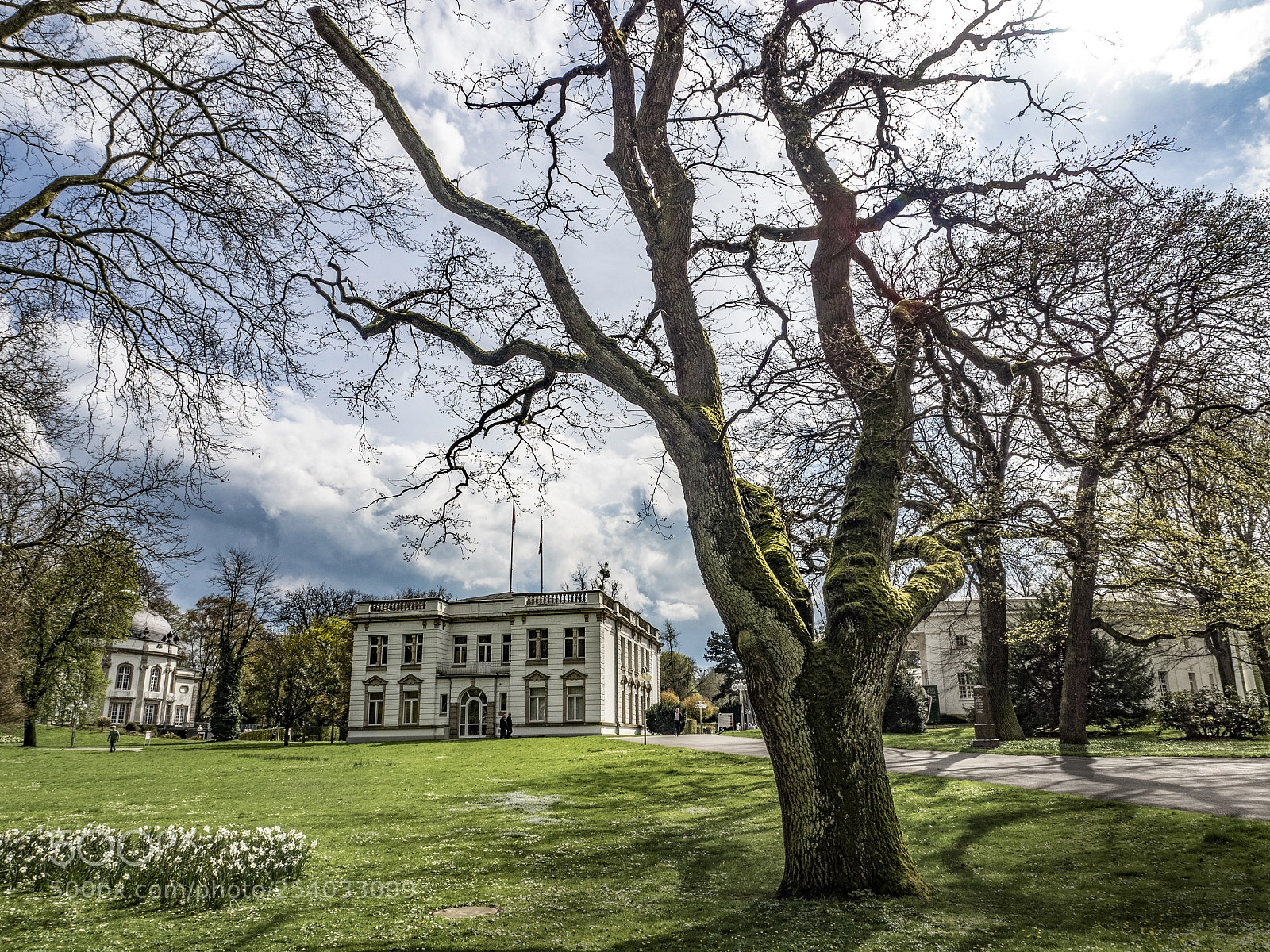 Olympus OM-D E-M5 II sample photo. The spa park shines photography