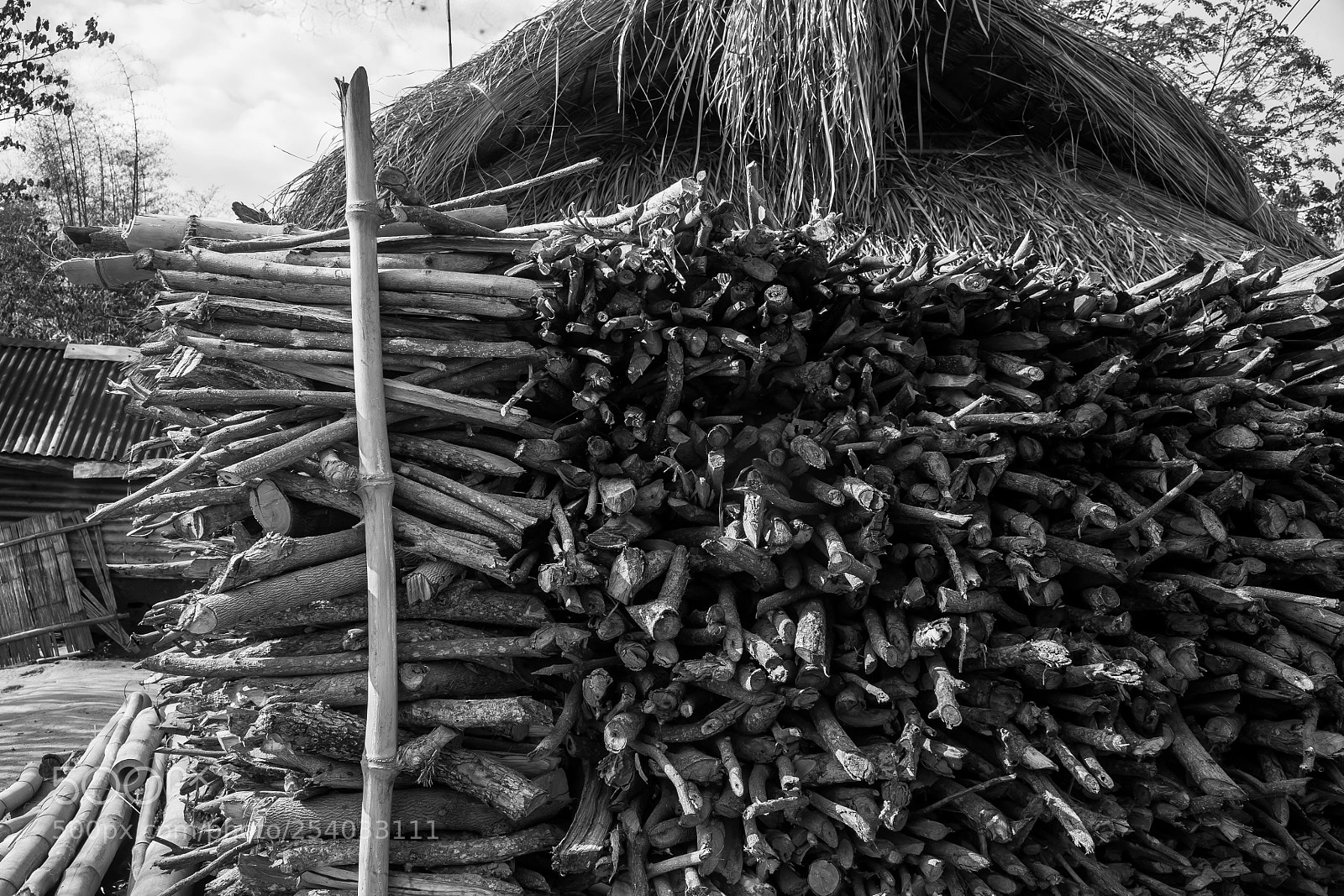 Canon EOS 5D sample photo. Balanti farm photography