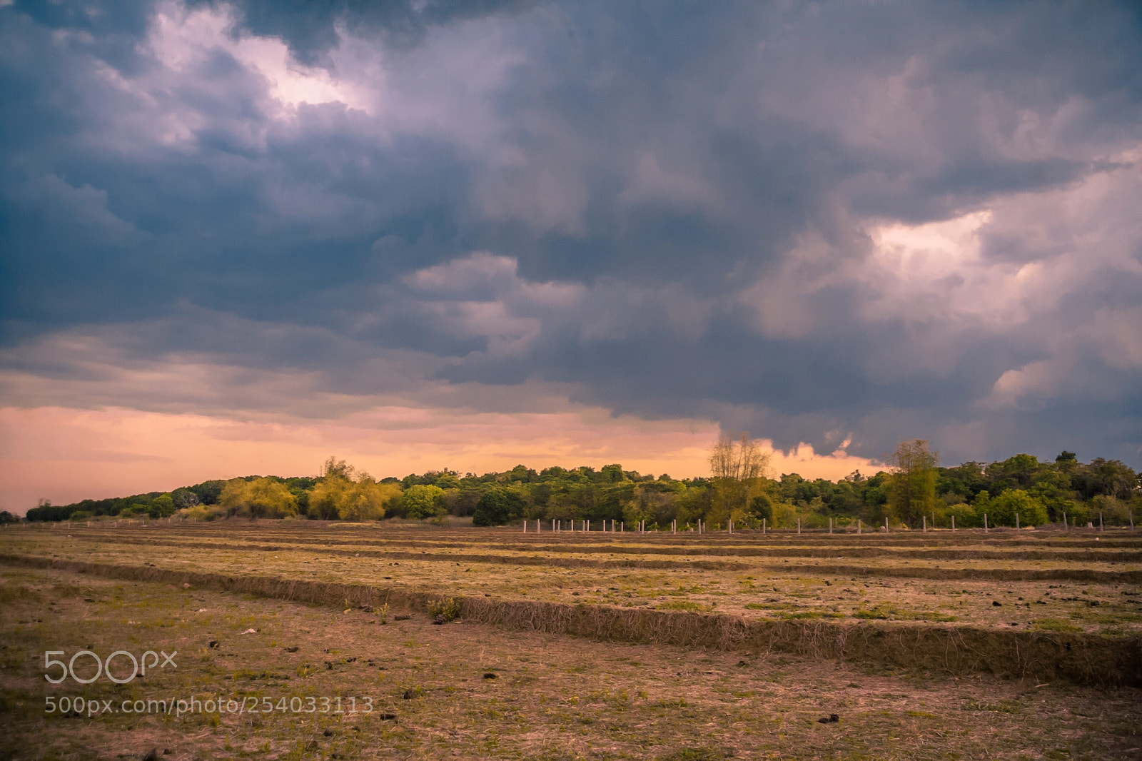 Canon EOS 5D sample photo. Balanti farms photography