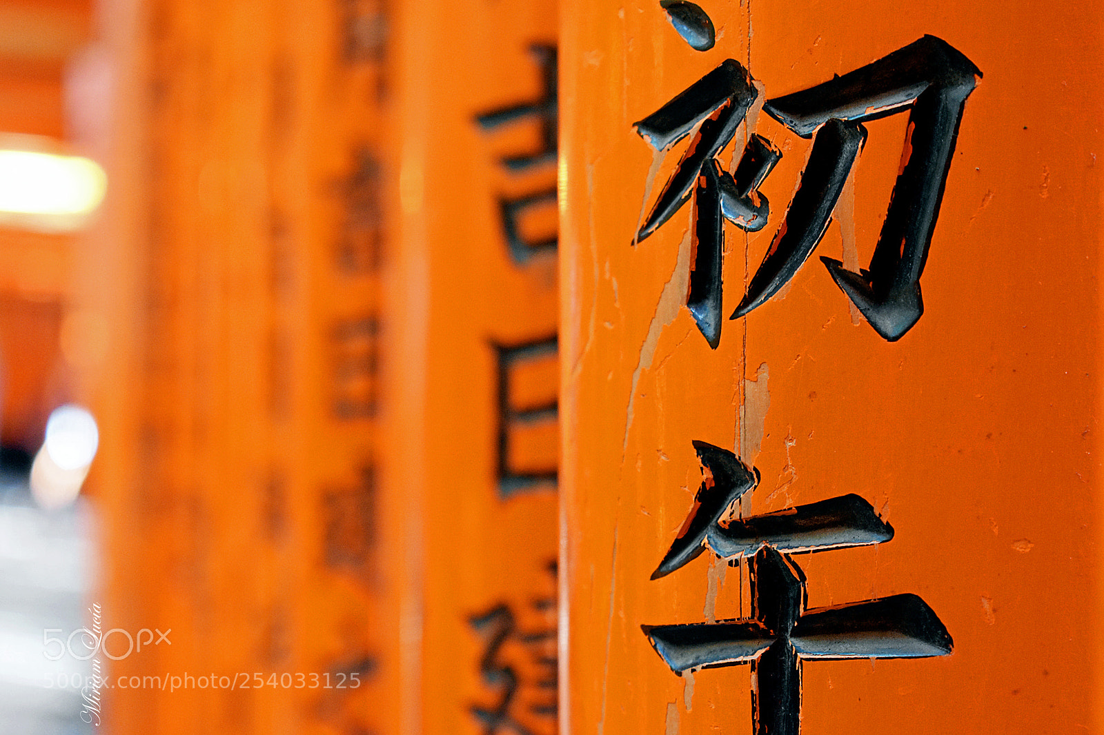 Nikon D5600 sample photo. Japanese details photography