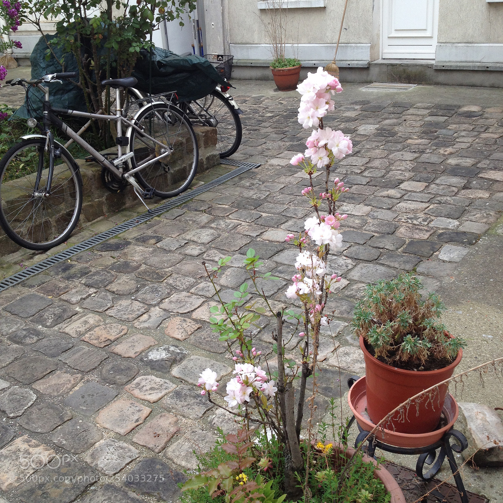 Apple iPhone 4S sample photo. 2016-04-21 17.32.28.jpg photography