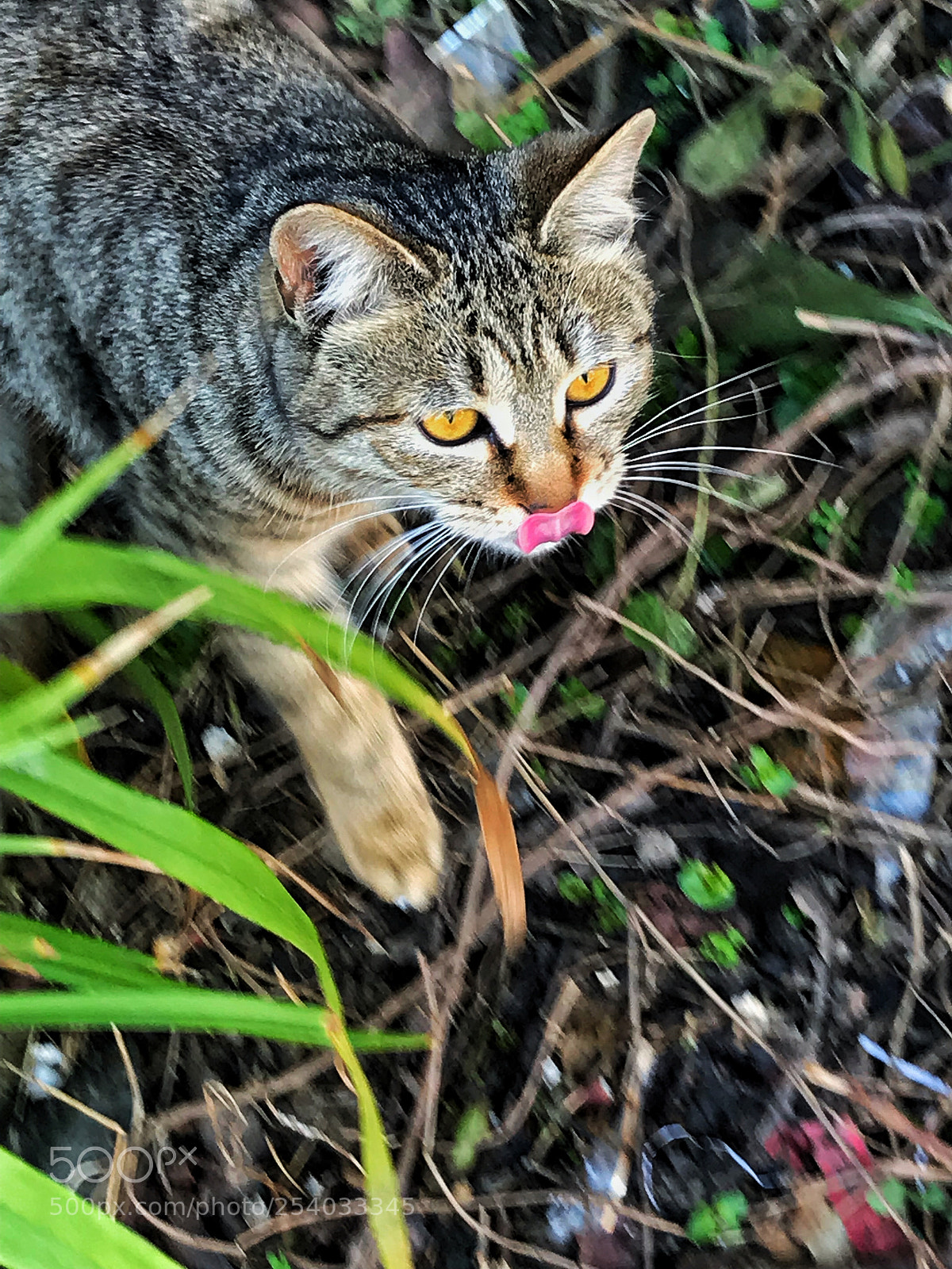 Apple iPhone 7 sample photo. Untitled photography