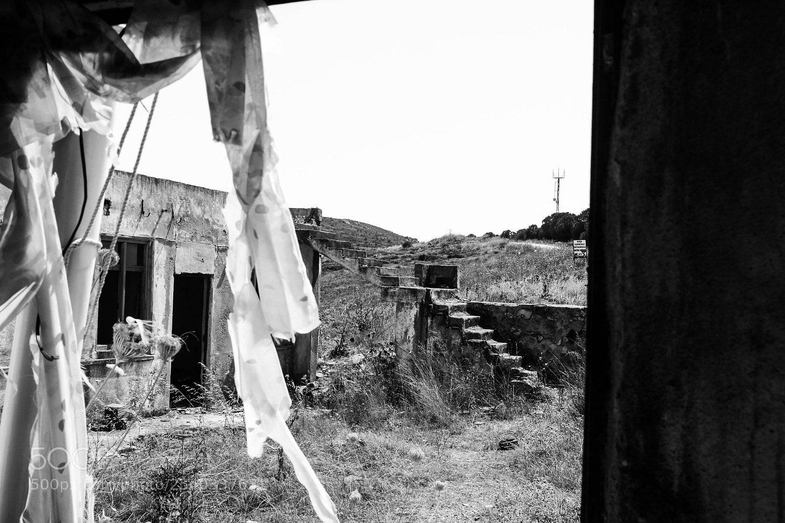 Canon EOS 40D sample photo. Untitled photography