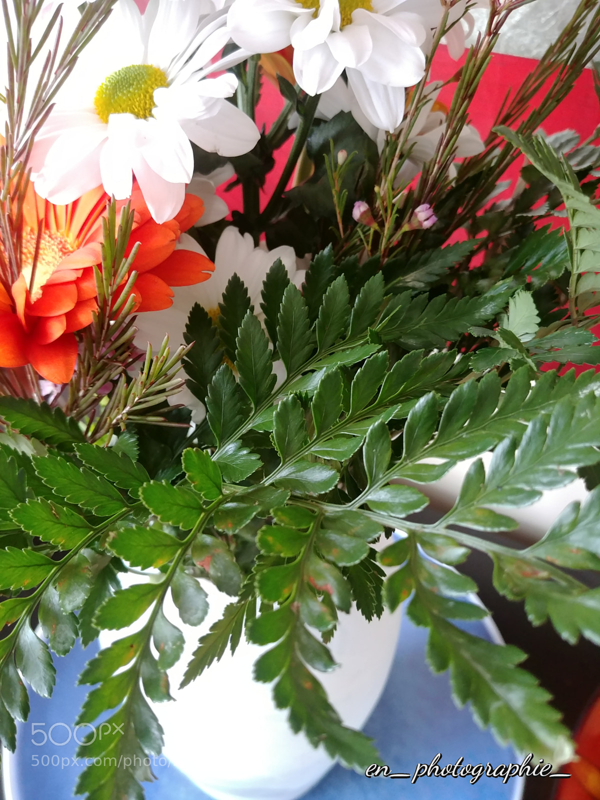 LG G6 sample photo. Flower composition photography