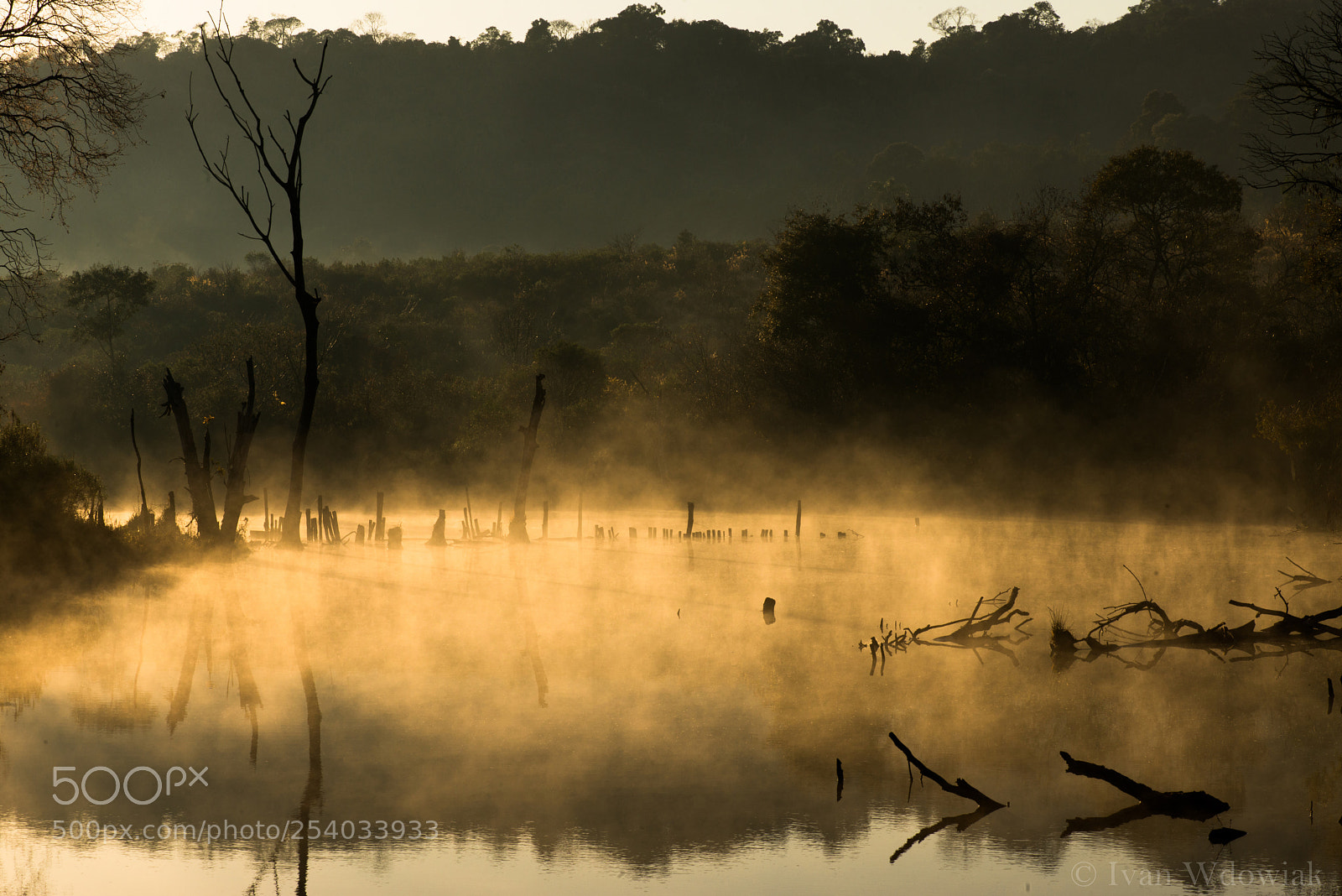 Nikon D800 sample photo. Fog on the water photography