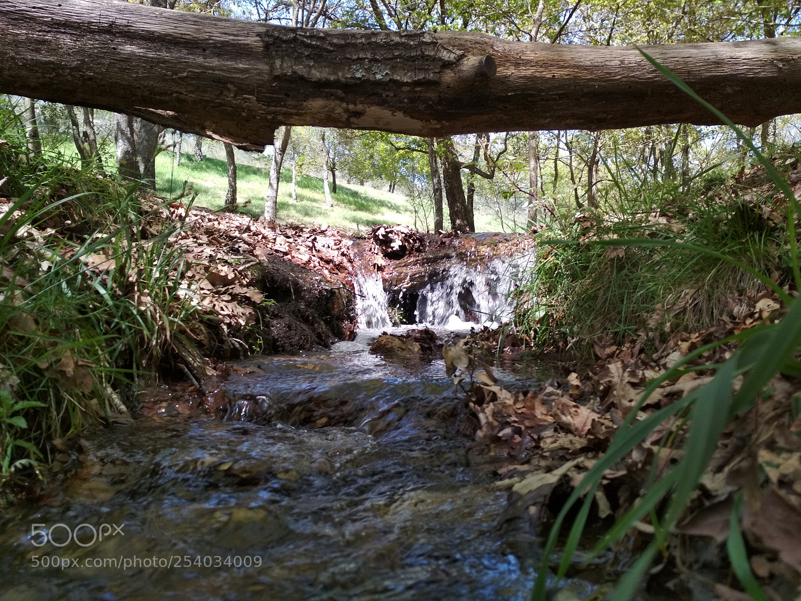 Xiaomi Redmi 4X sample photo. Little wood bridge photography