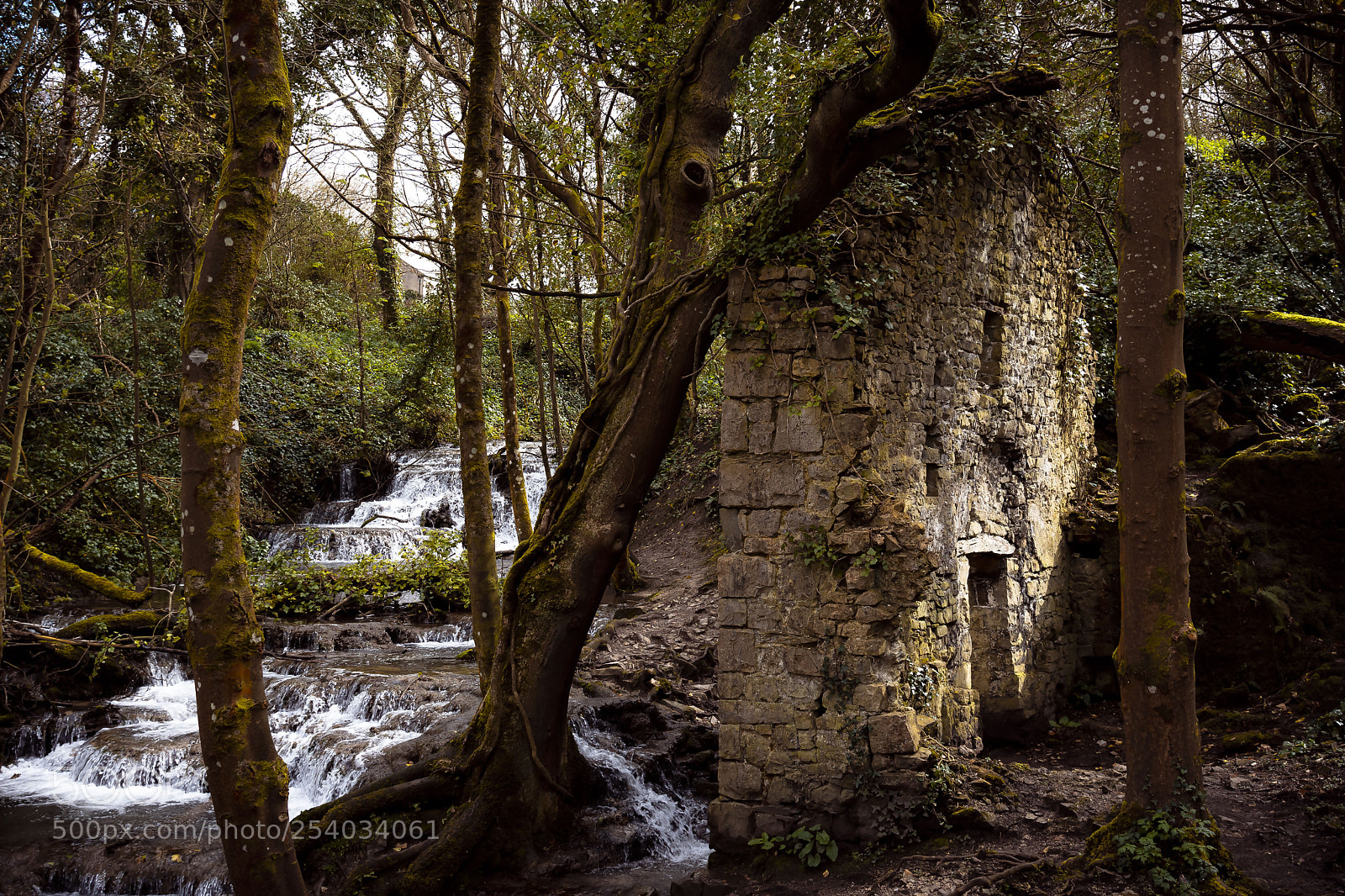 Nikon D7200 sample photo. Ruin photography