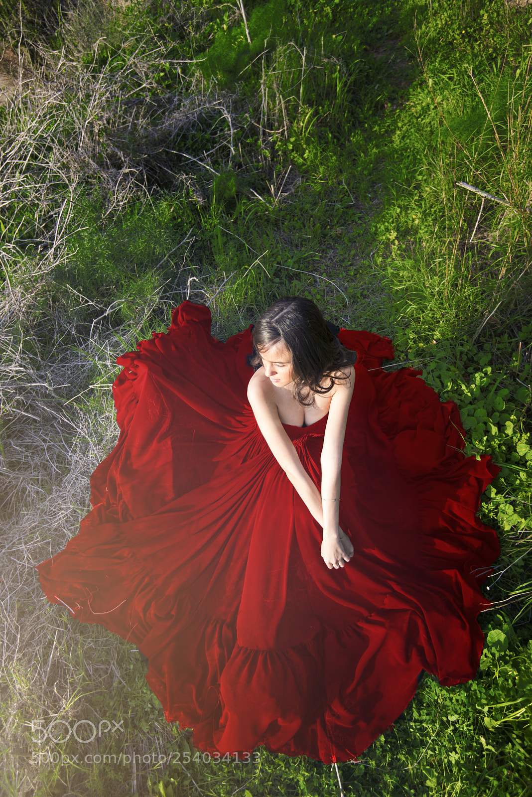 Nikon D610 sample photo. Red 2 photography