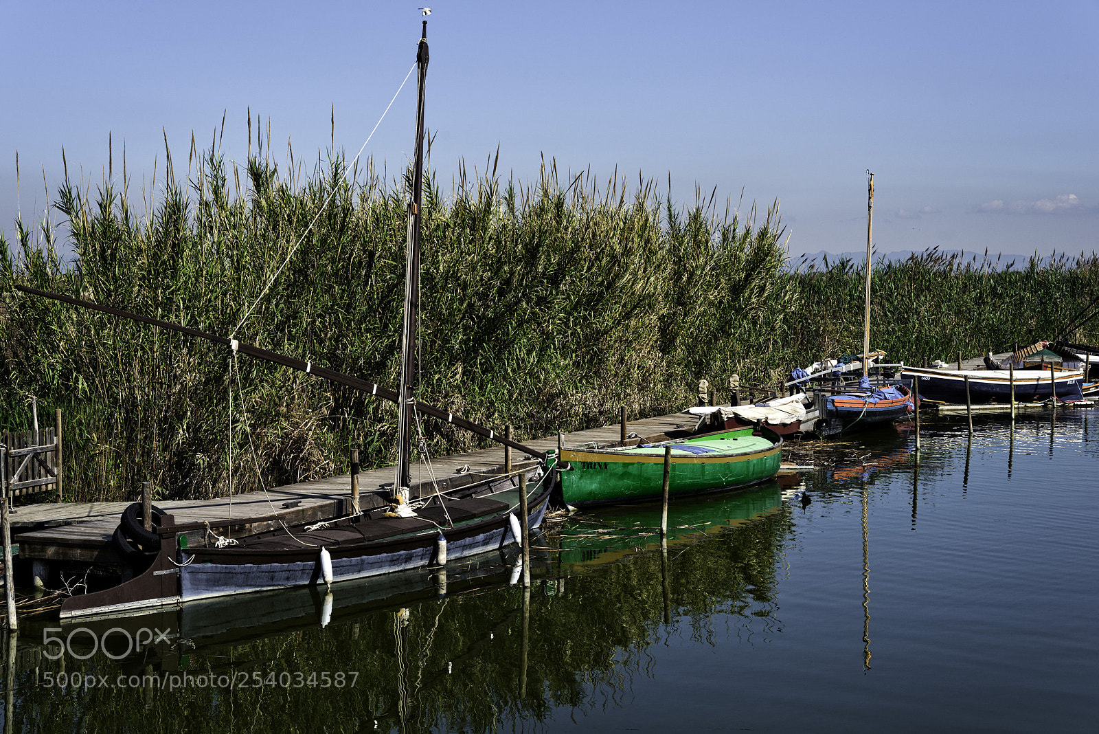 Nikon D800 sample photo. Palmar photography