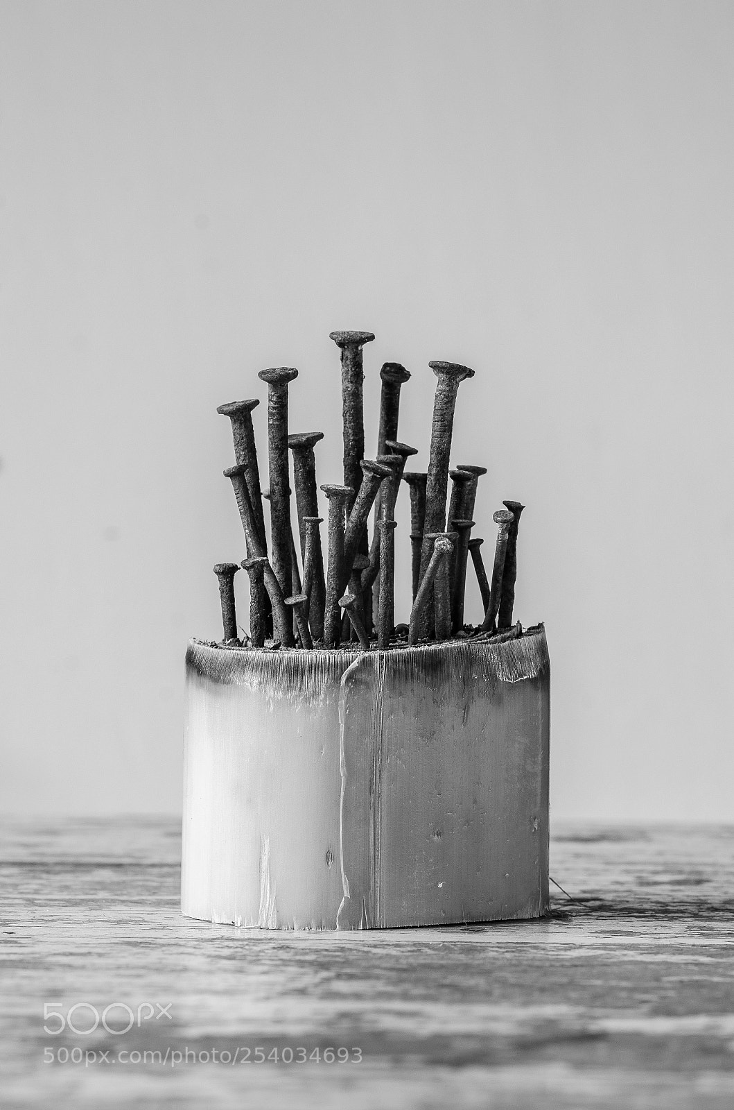 Nikon D7000 sample photo. Nail mushroom on banana photography