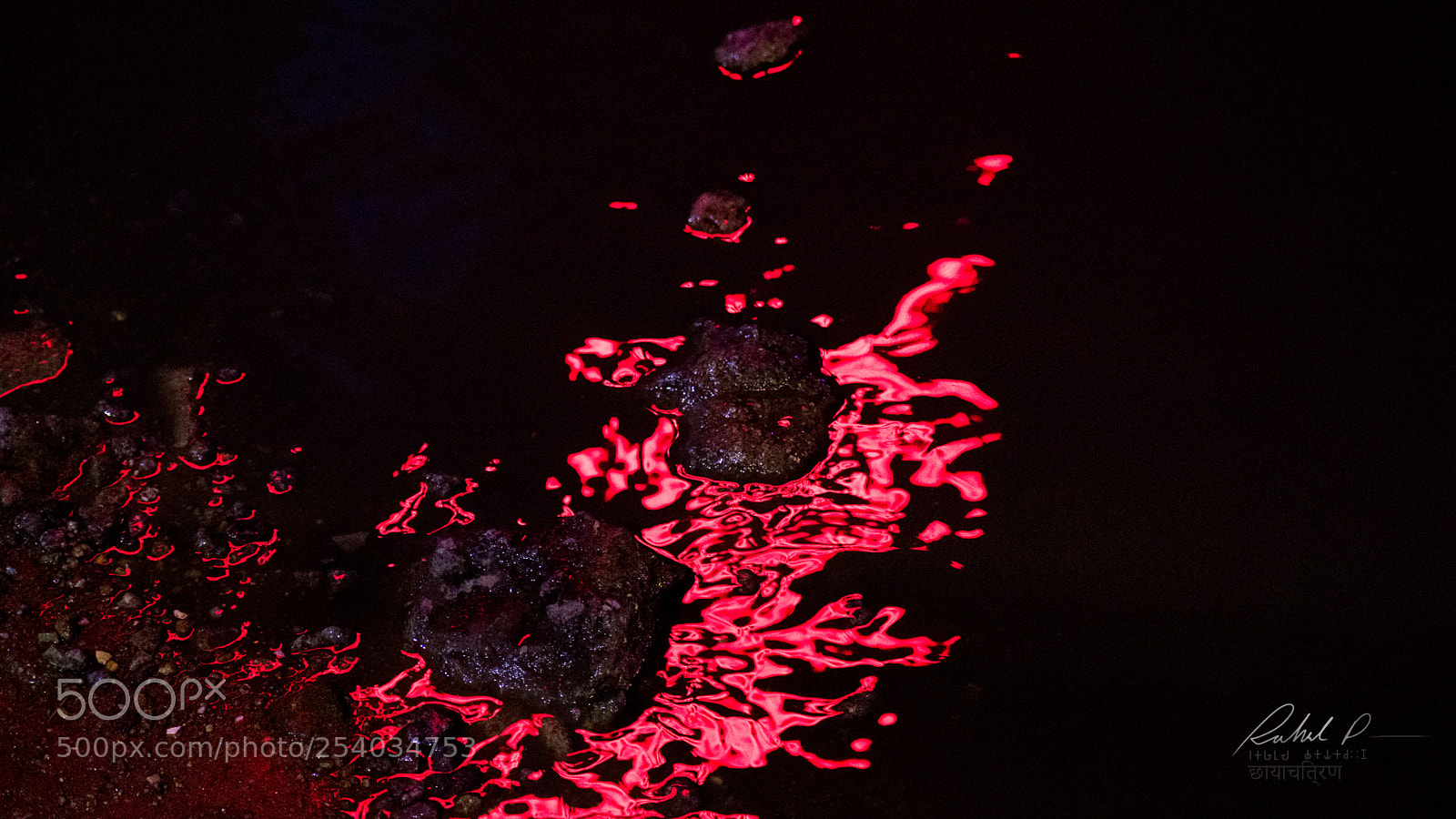 Nikon D3400 sample photo. Lights distort photography