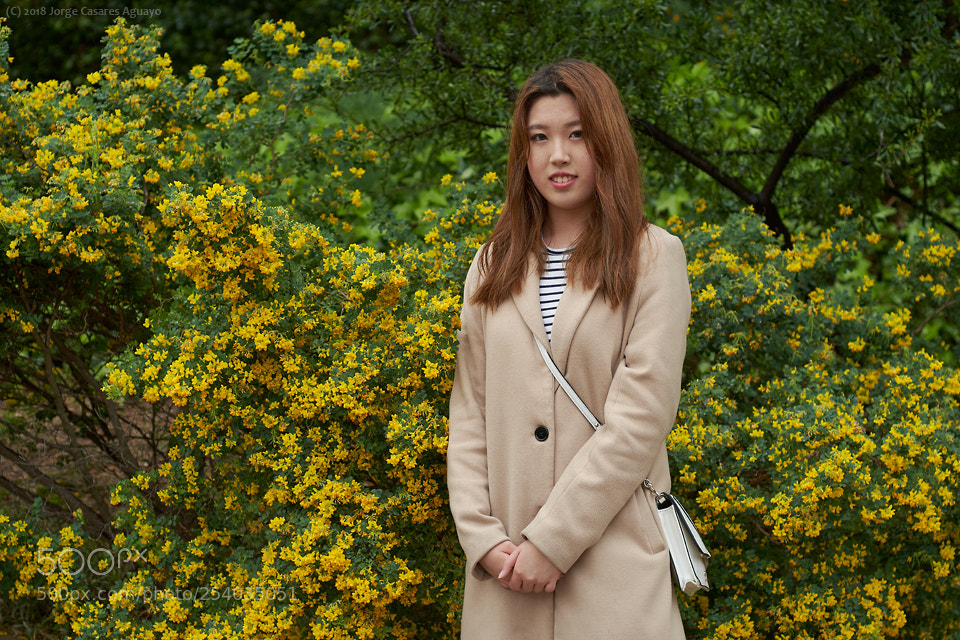 Nikon D7500 sample photo. S. cheng photography
