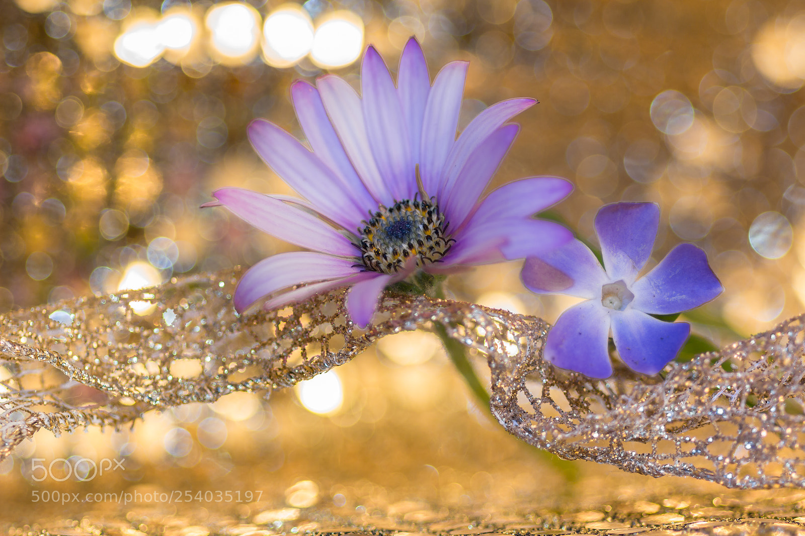 Canon EOS 650D (EOS Rebel T4i / EOS Kiss X6i) sample photo. Bridal mood photography