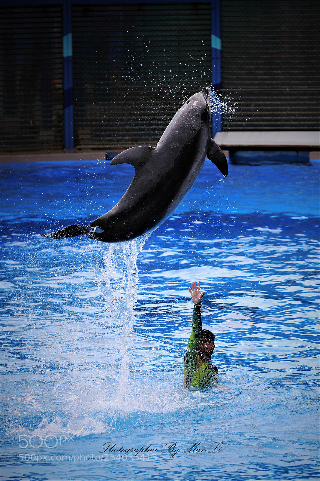 Canon EOS 5D Mark IV sample photo. Ocean park - hong photography