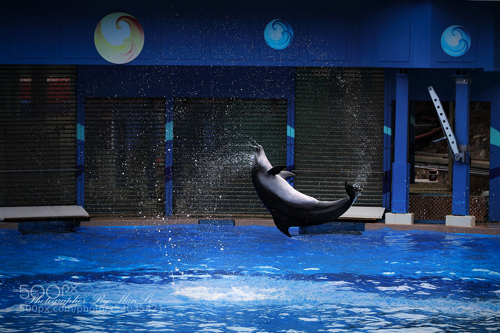 Canon EOS 5D Mark IV sample photo. Ocean park - hong photography