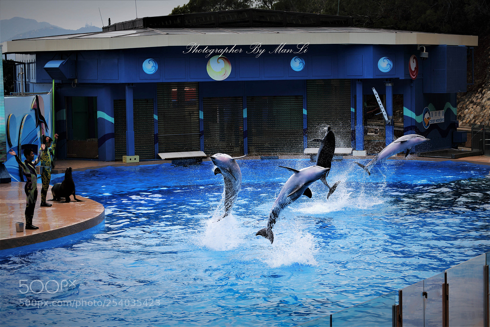 Canon EOS 5D Mark IV sample photo. Ocean park - hong photography