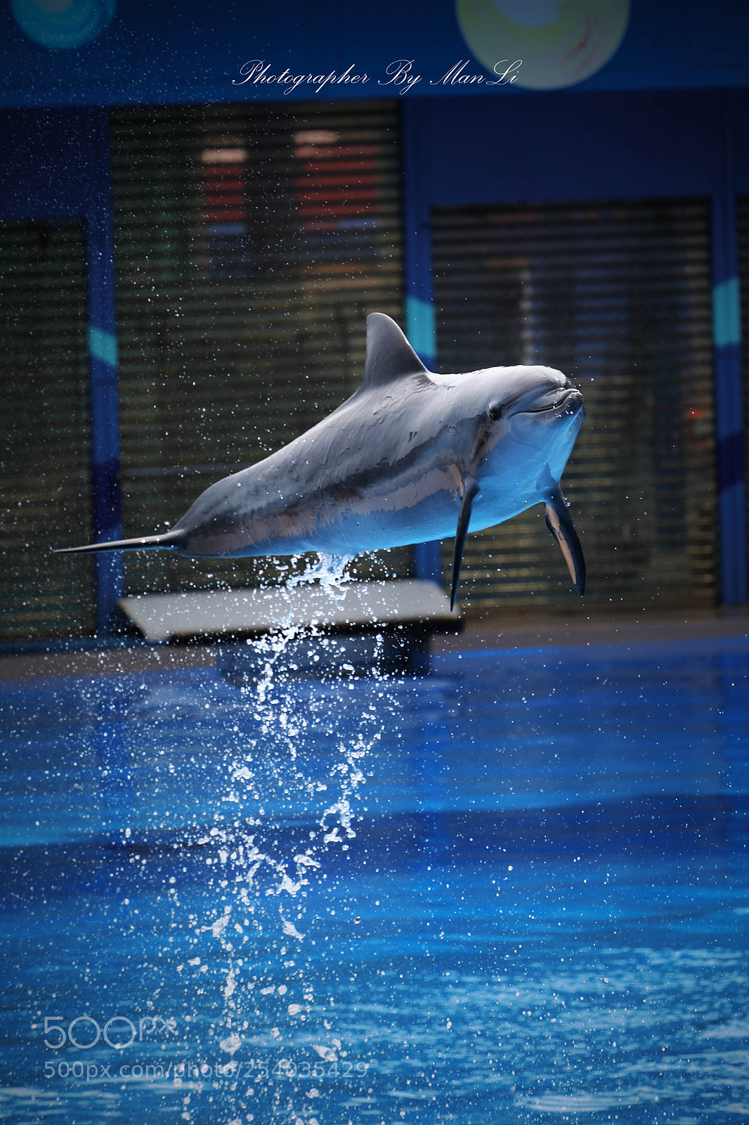 Canon EOS 5D Mark IV sample photo. Ocean park - hong photography