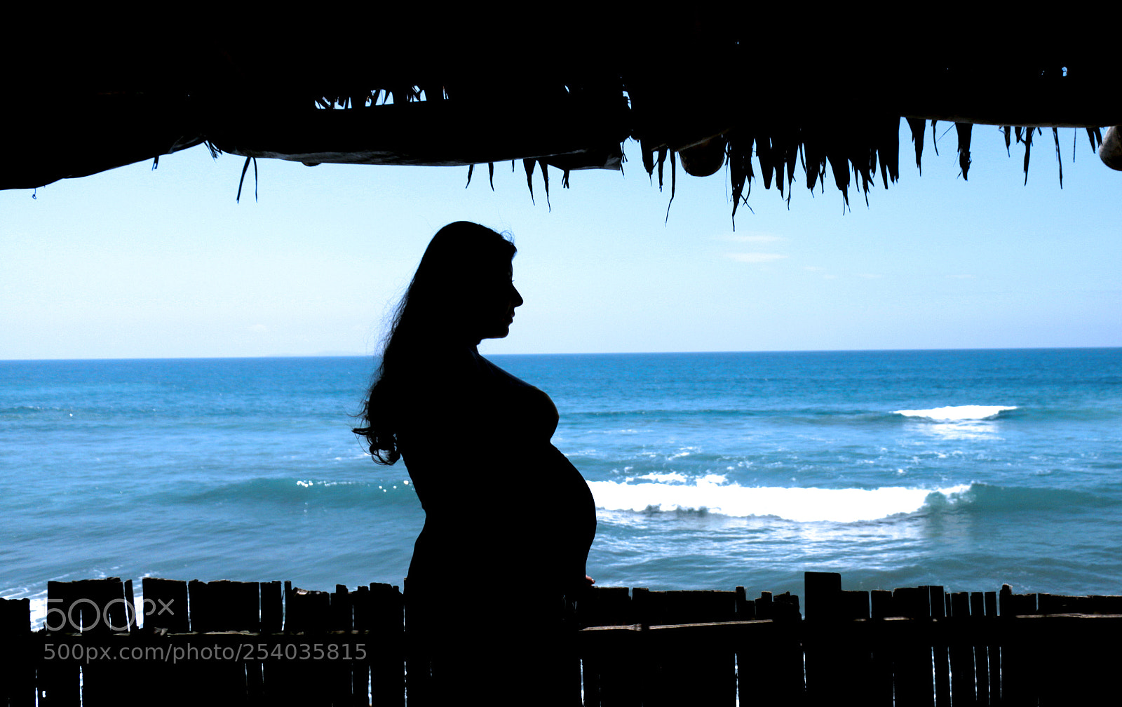 Canon EOS 70D sample photo. Freedom itself photography