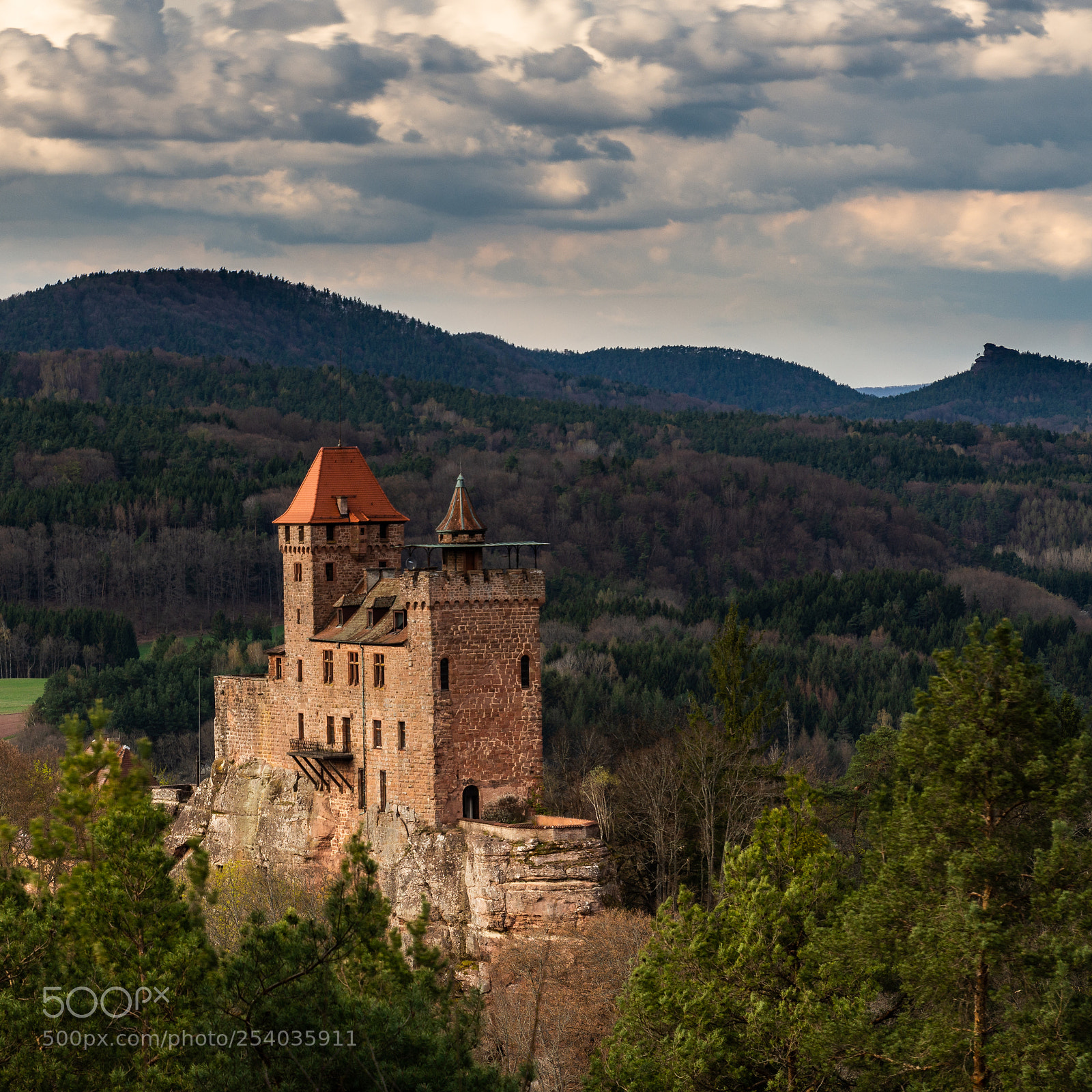 Nikon D7200 sample photo. Berwartstein photography