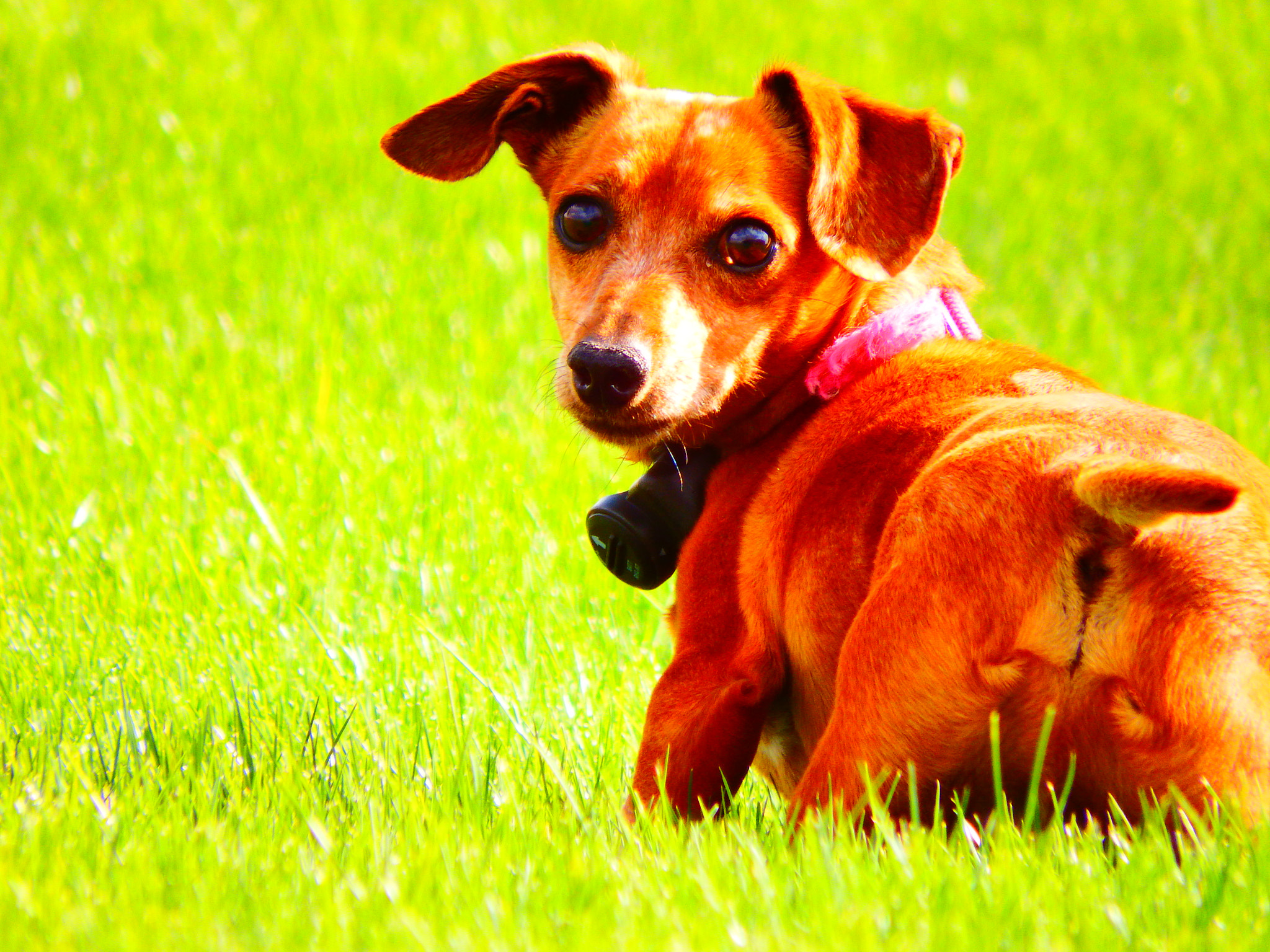 Fujifilm FinePix SL1000 sample photo. Fisher photography