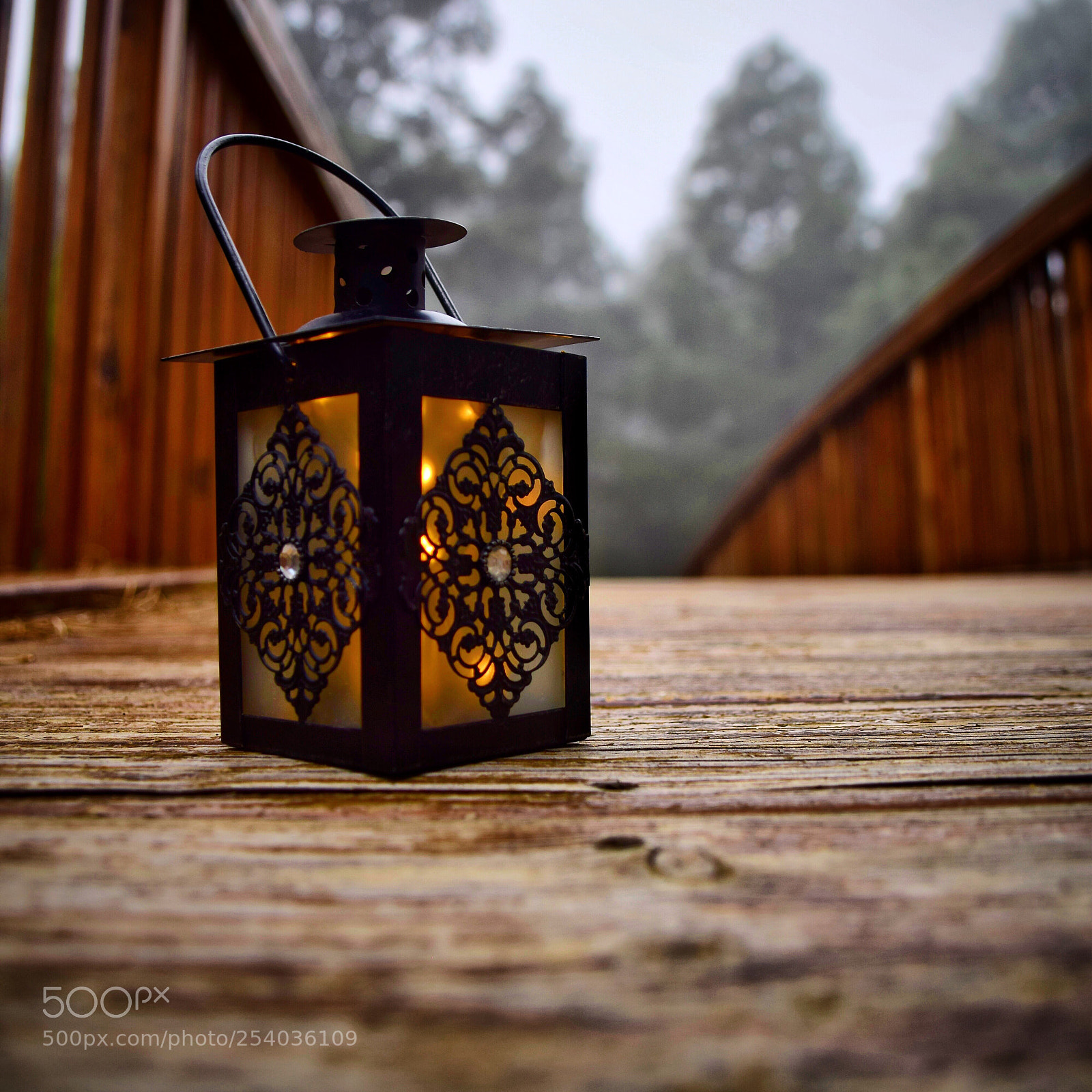 Nikon D3300 sample photo. Hope photography