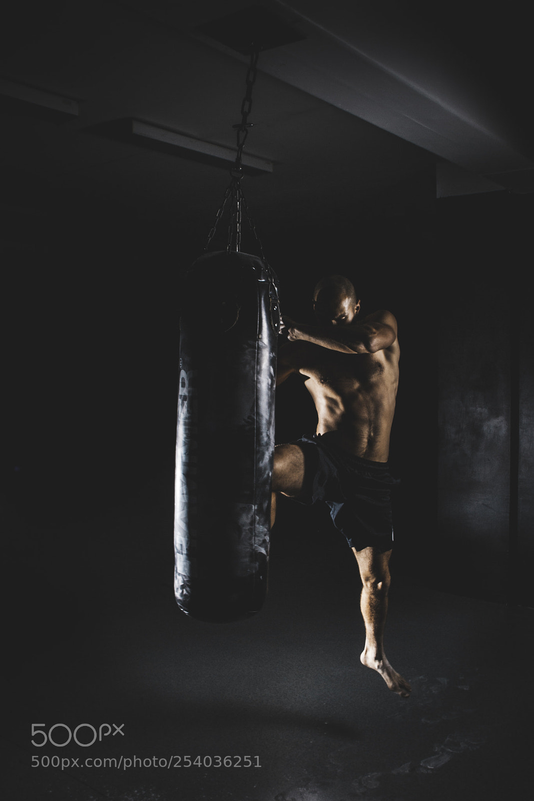 Canon EOS-1D Mark II sample photo. Fighter edgars cīrulis photography