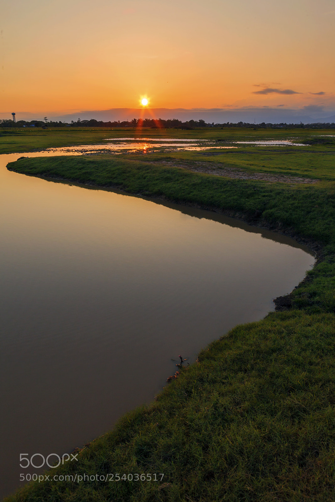 Canon EOS 5D Mark II sample photo. On the way photography