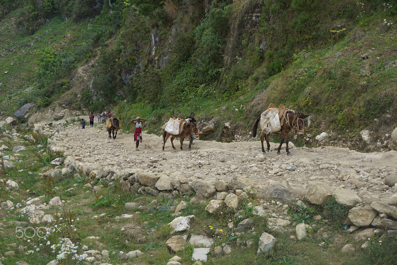 Sony a6000 + Sony E 18-50mm F4-5.6 sample photo. Mountain villagers and horses photography