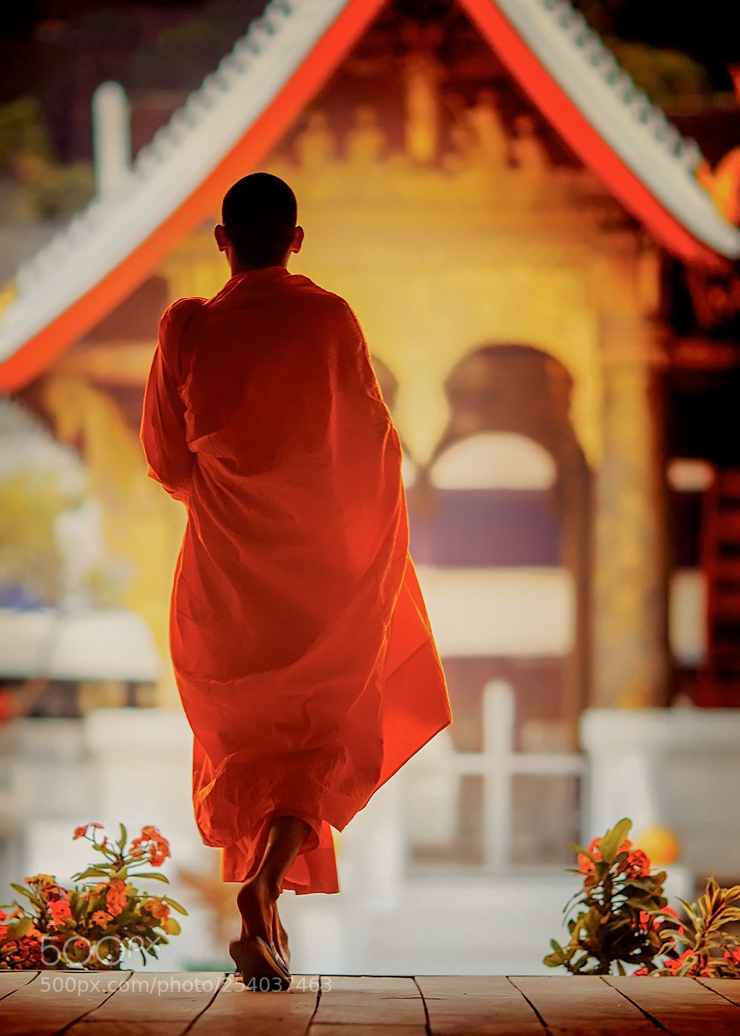 Canon EOS-1D X sample photo. Travel to laos .. photography
