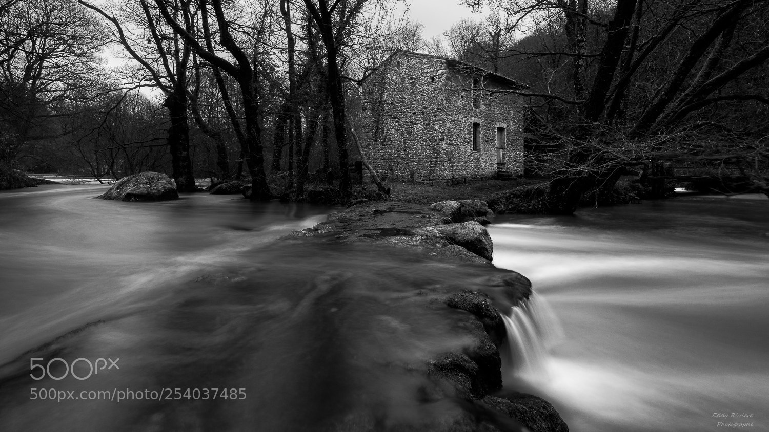 Nikon D810 sample photo. Moulin d'etourneau photography