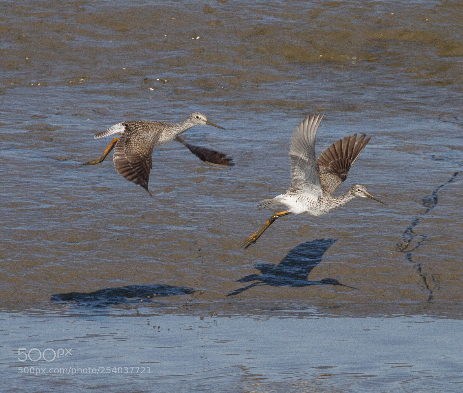 Canon EOS 7D sample photo. Tandem flight photography