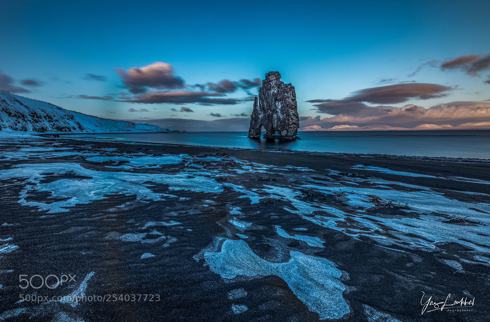 Nikon D850 sample photo. Dragon of hviserkur photography
