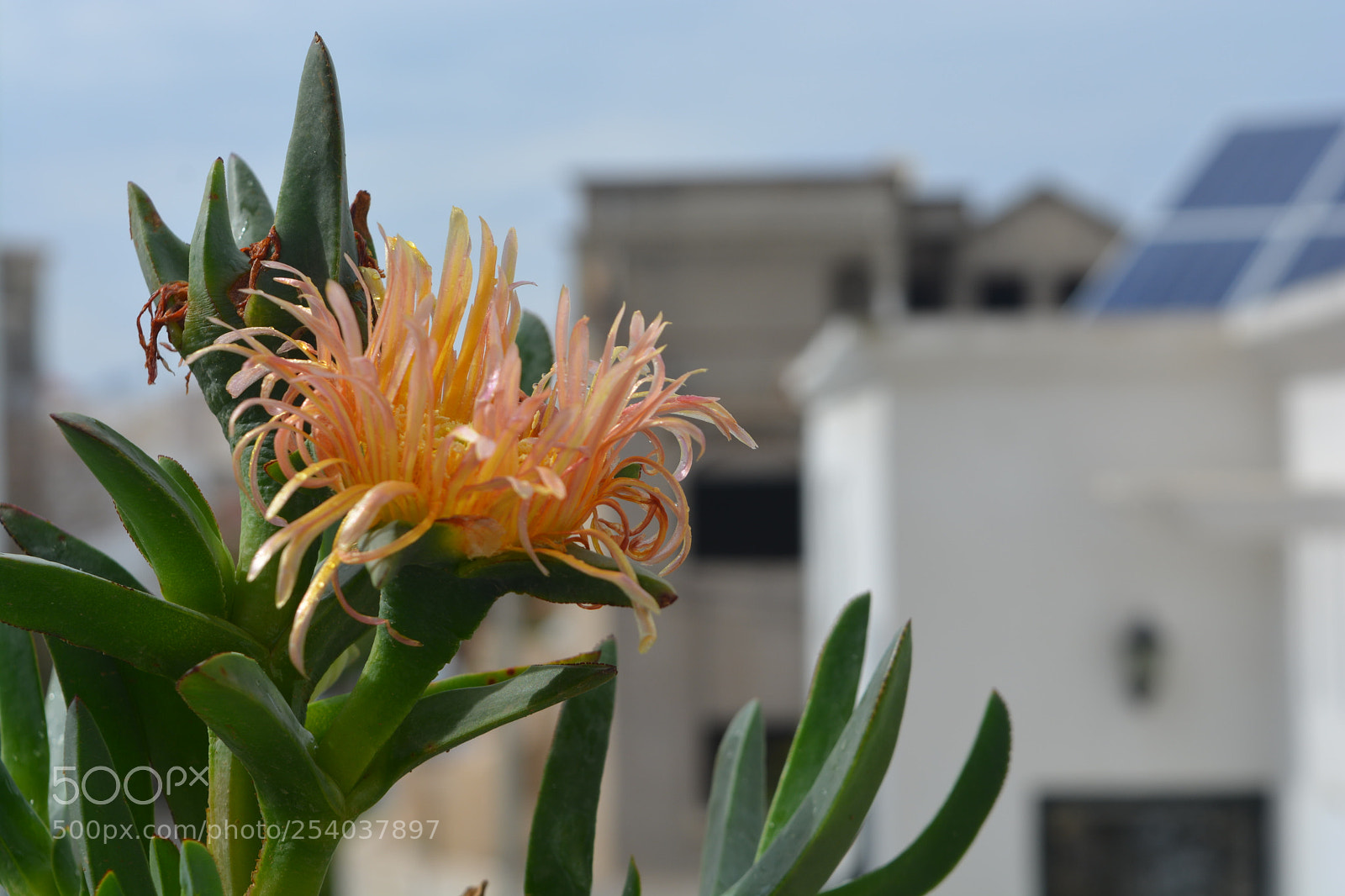 Nikon D5200 sample photo. Untitled photography