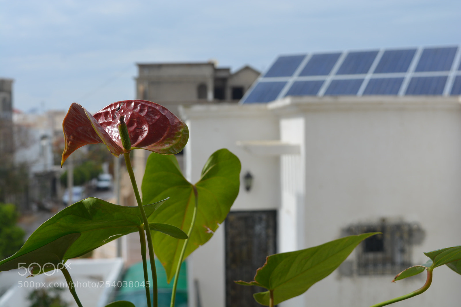 Nikon D5200 sample photo. Untitled photography