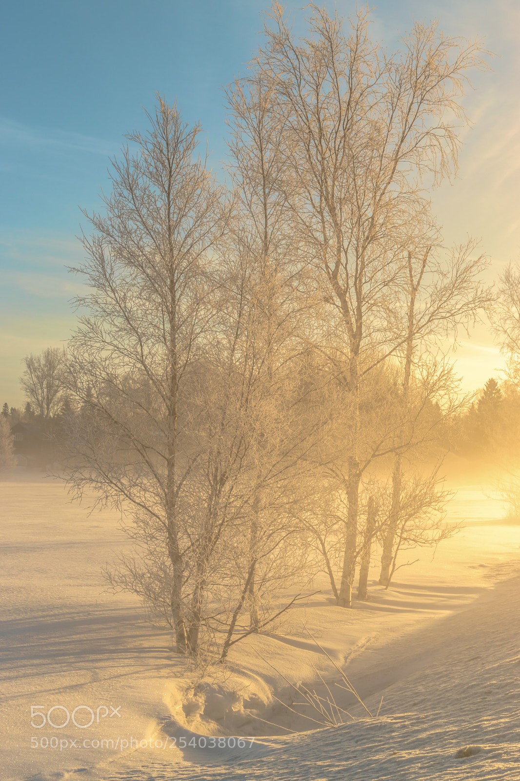Nikon D5500 sample photo. Sunlight photography